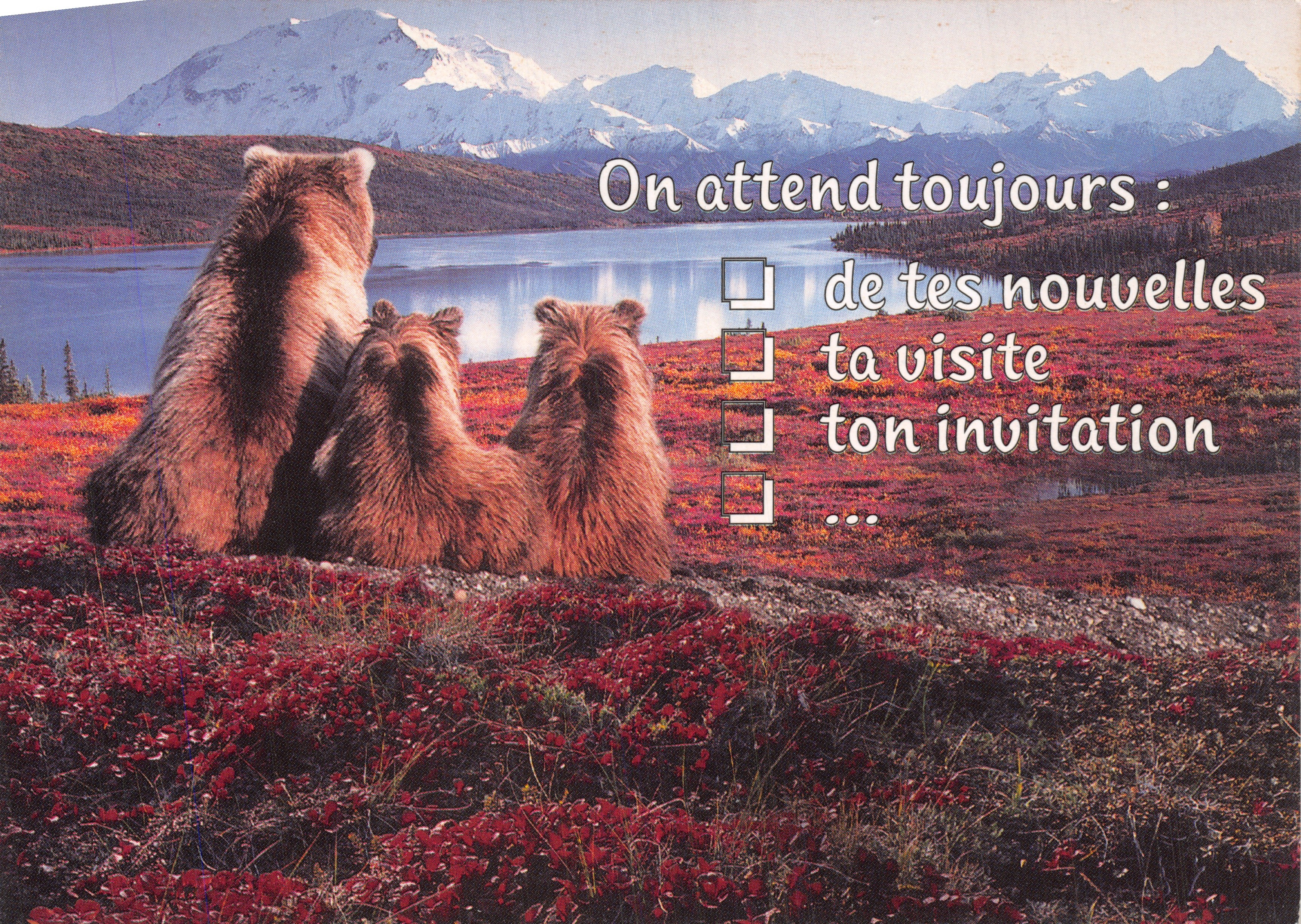 Trois ours devant un lac et des montagnes enneigées — texte imprimé sur la carte : 'On attend toujours : de tes nouvelles ta visite ton invitation ...' — éditeur Fotoline, n° de série 40059