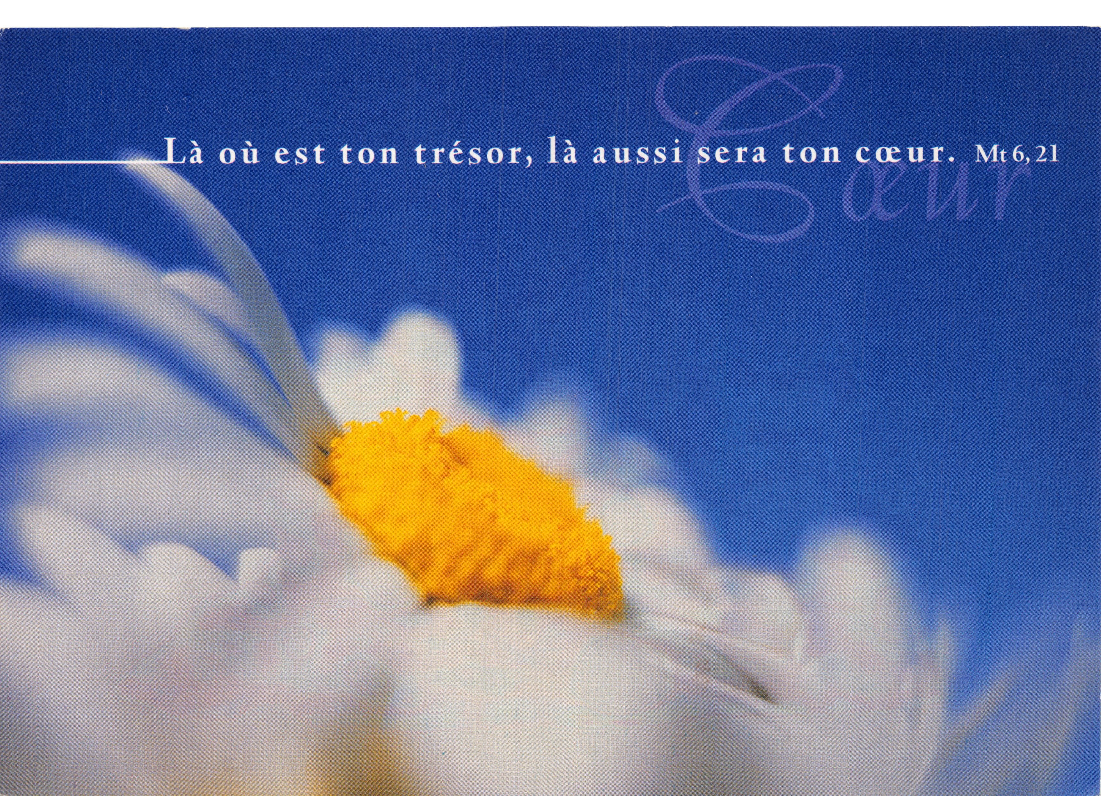 Margherita — citazione biblica su fondo blu — Claire-vision editions