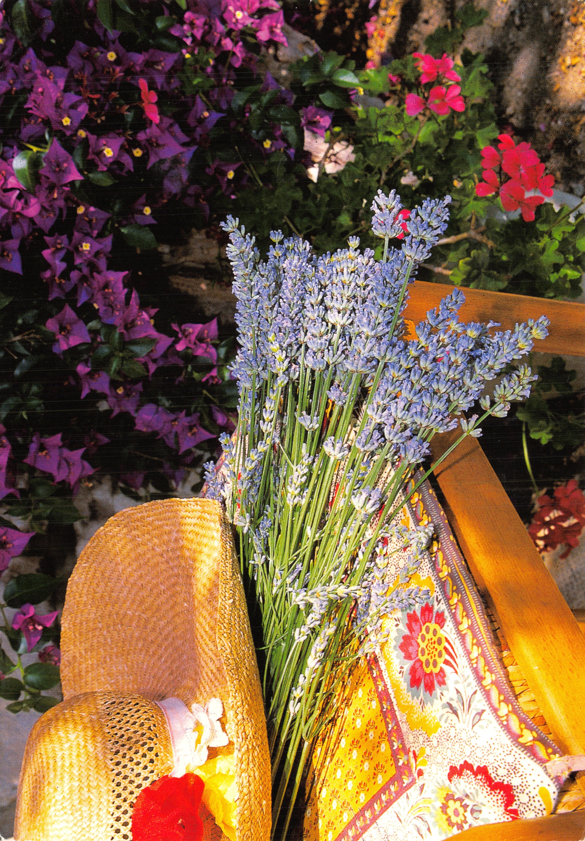 Bundel lavendel — op een houten bank met strohoed — Éditions Méridionales, n° 31