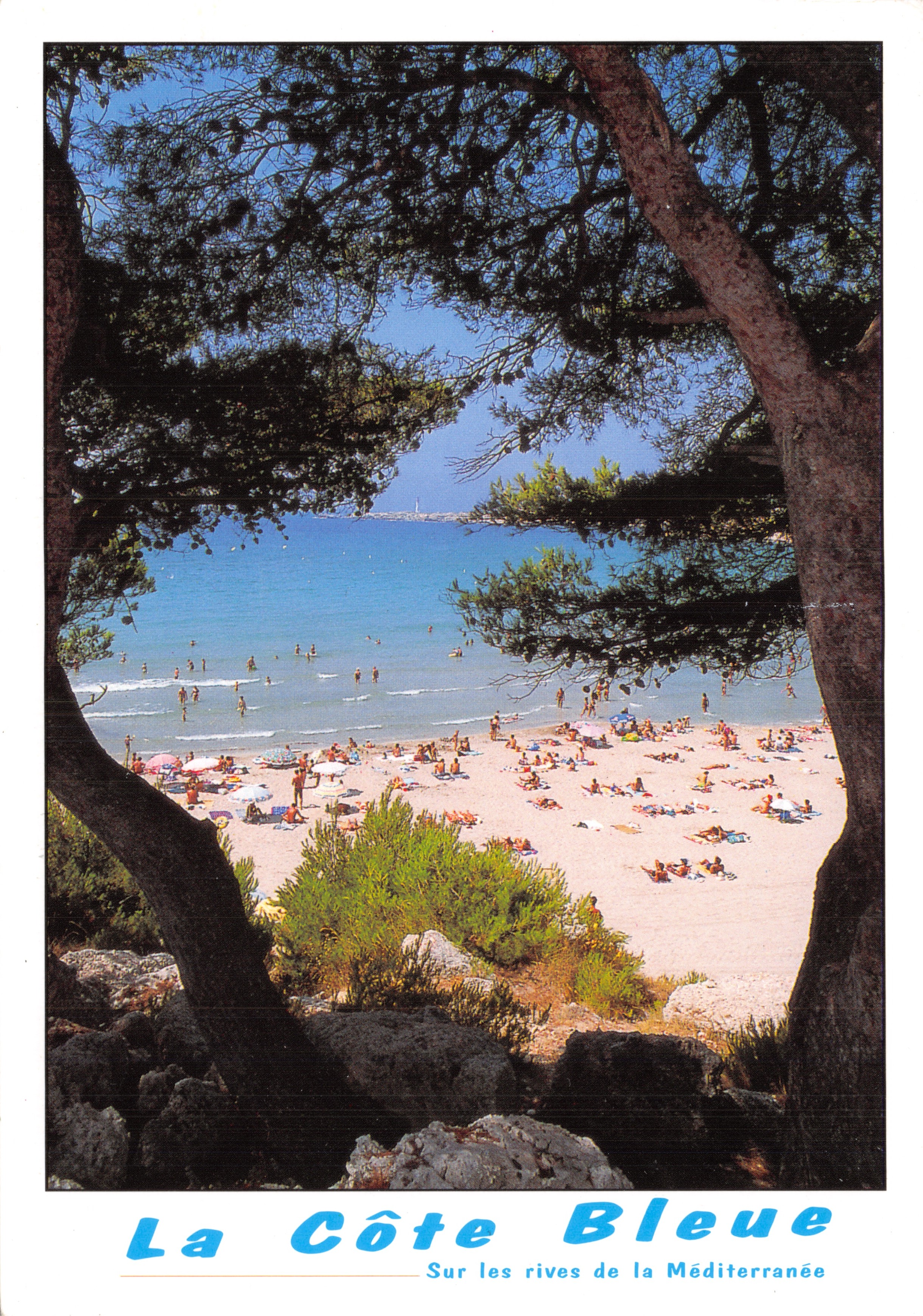 La Côte Bleue — vue de plage encadrée par des pins — éditeur Sté PEC, Septèmes les Vallons