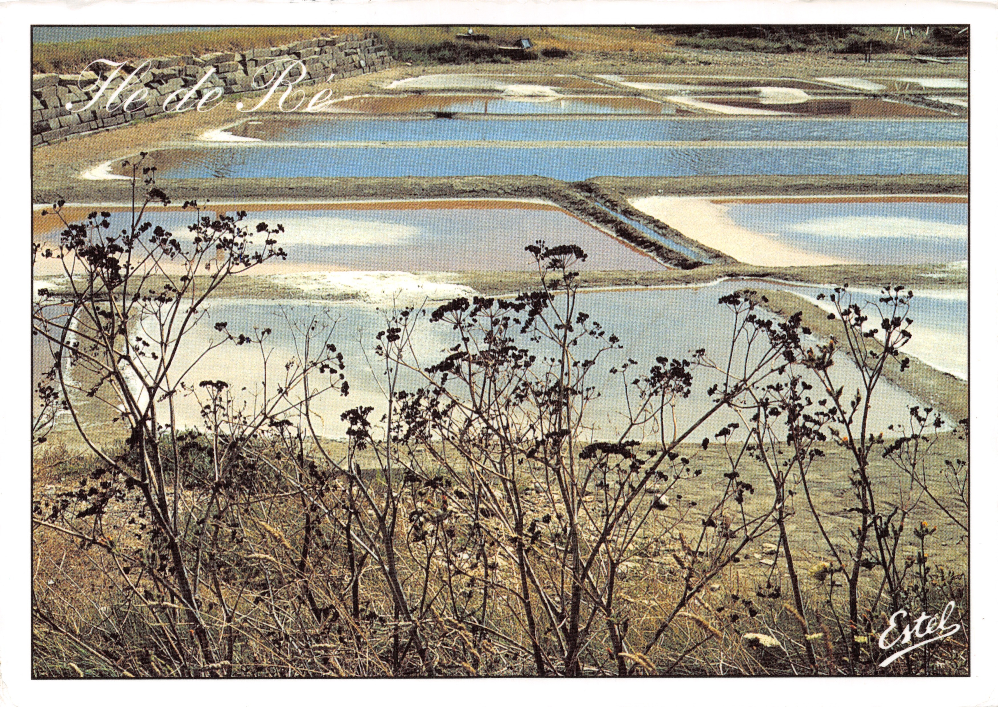 Isola di Ré — Salins — Editore Estel