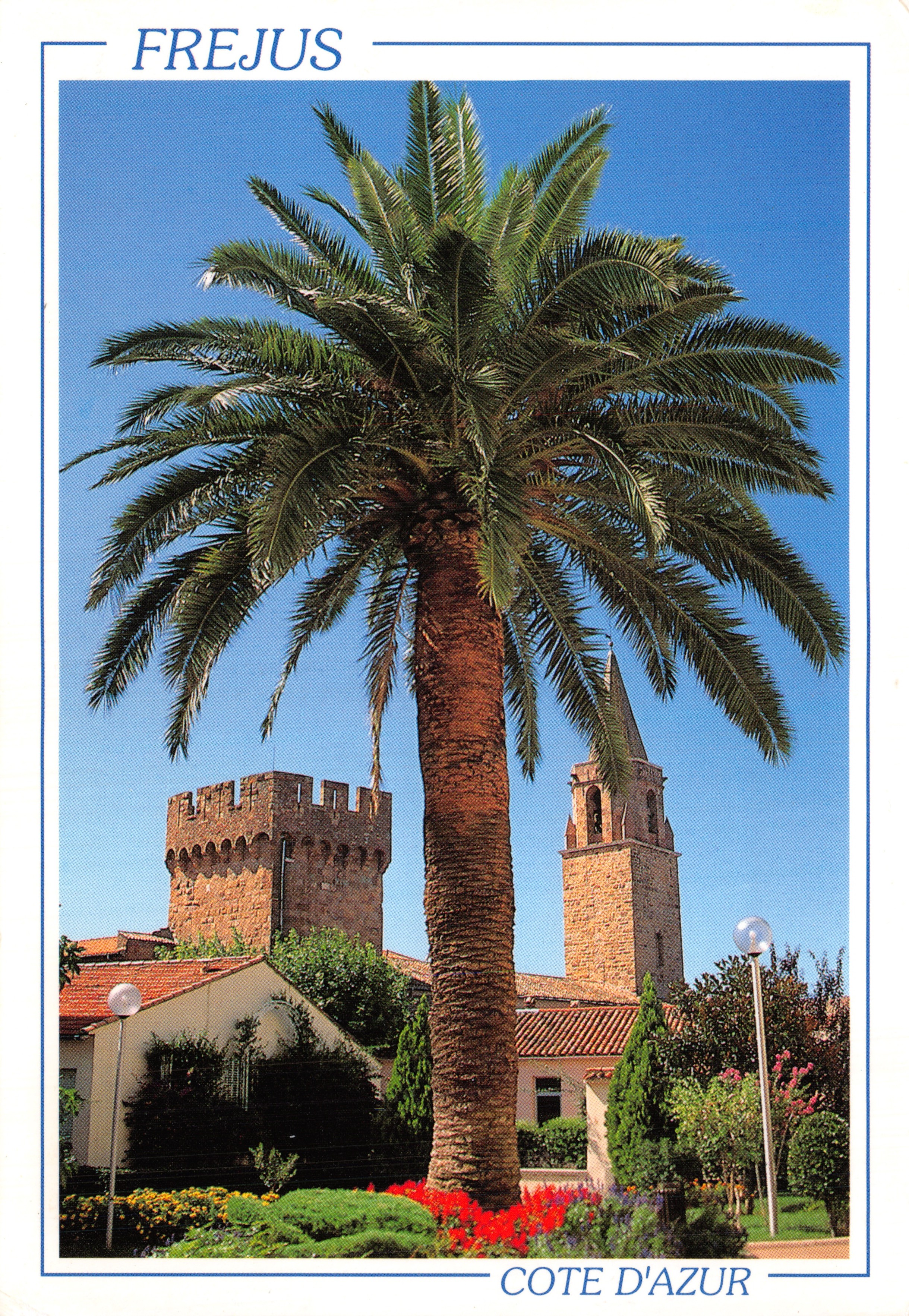 Fréjus — vista con palma y edificio histórico — Éditions Florian Mistral