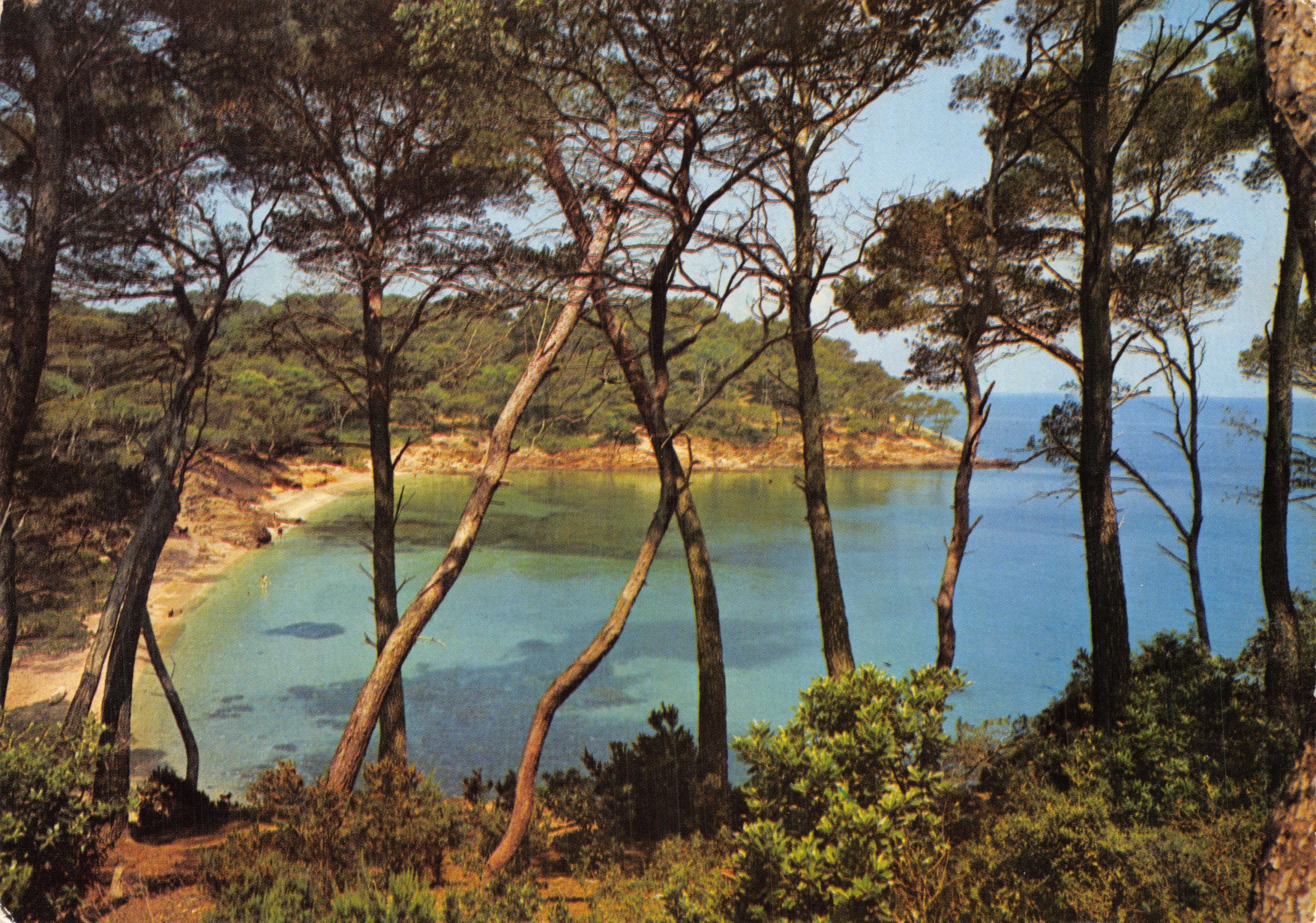 Strand der Bleichen Küste — Ansicht zwischen Kiefern — Editions de France, n°7267