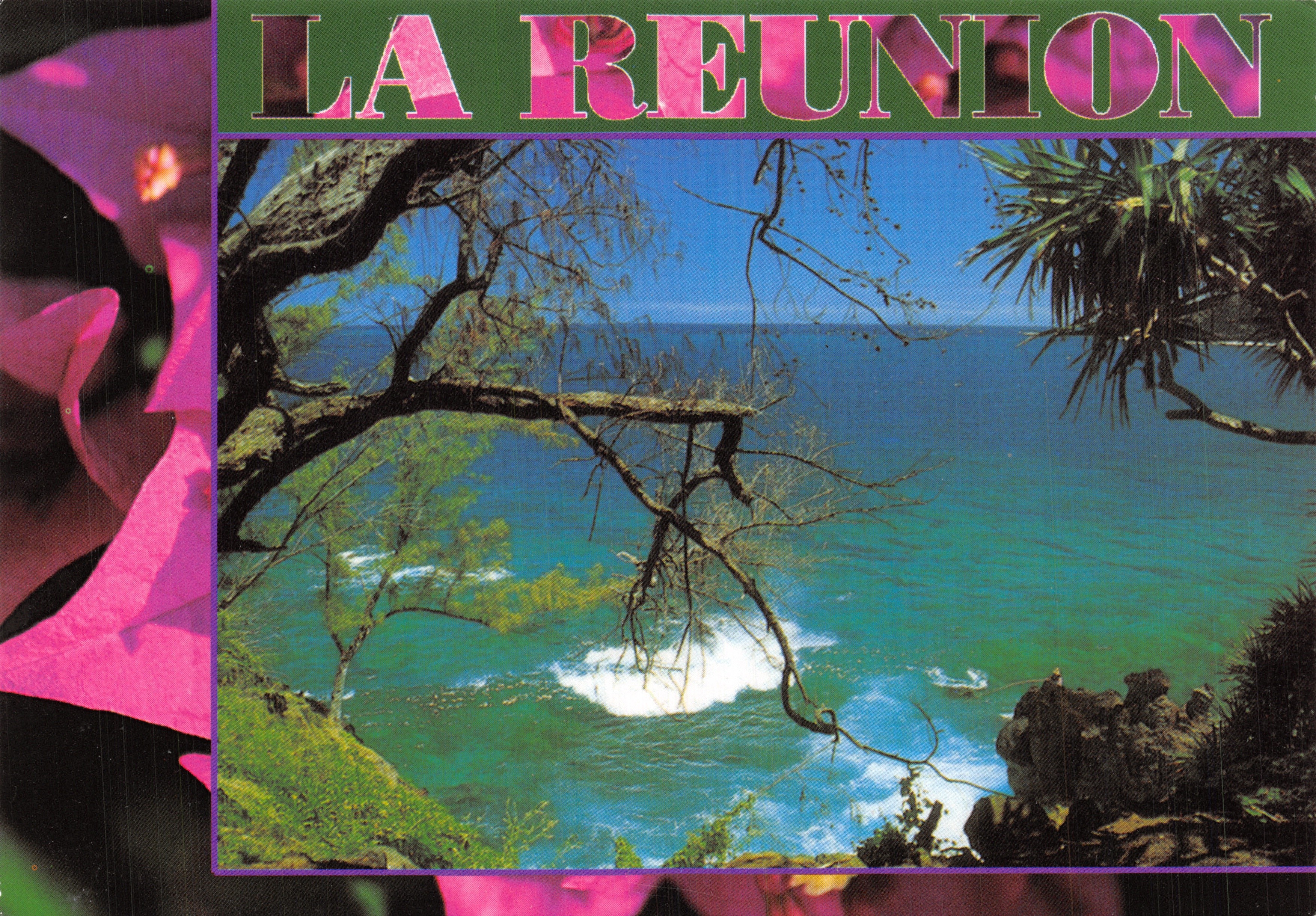 La Réunion — vista costera con olas y ramas — Éditions Clin d'Œil, RE 109