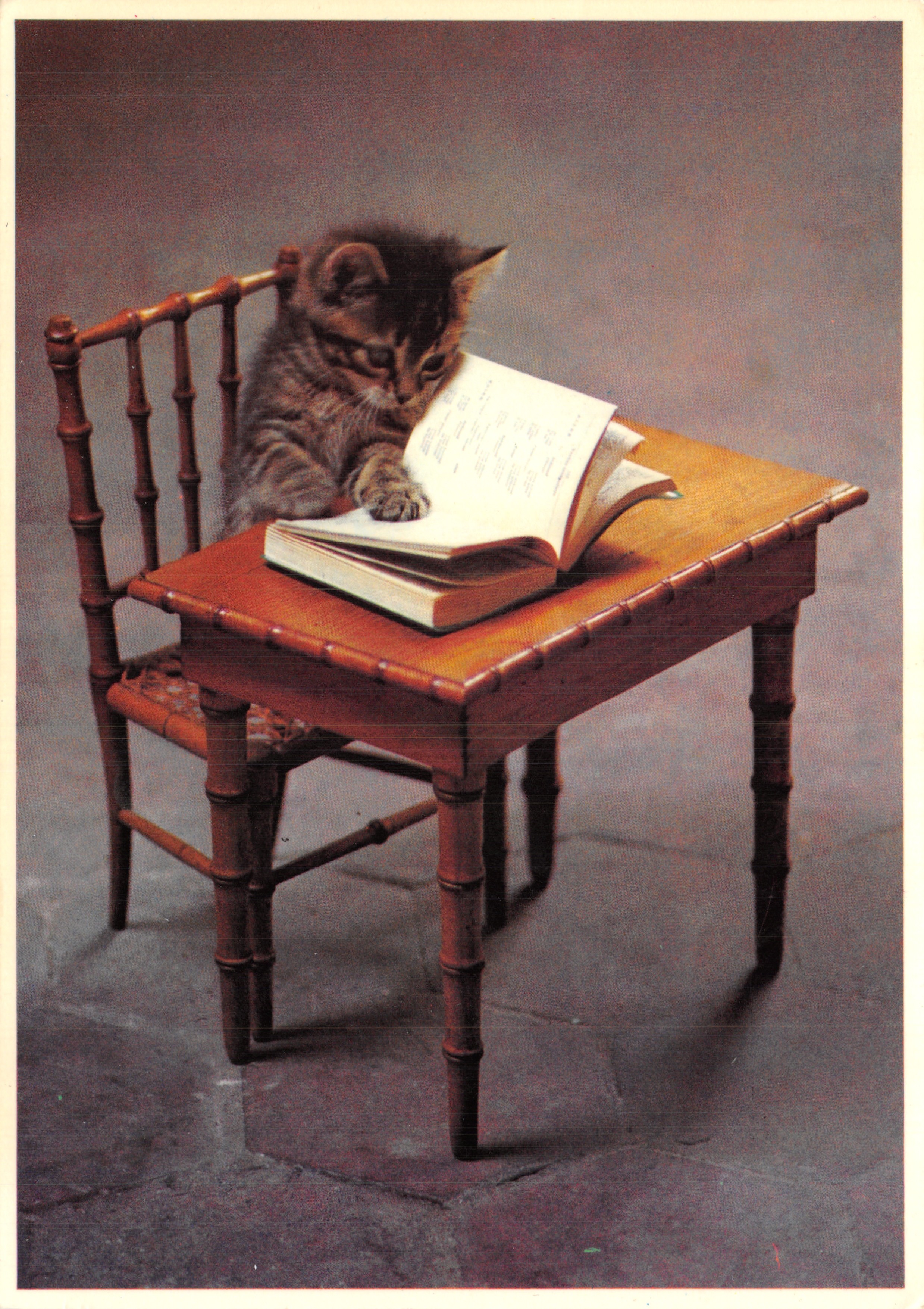 Gatito leyendo un libro — escena de oficina en miniatura — Éditions Cartes d'Art, serie Los Gatos N° 68 / B B 1