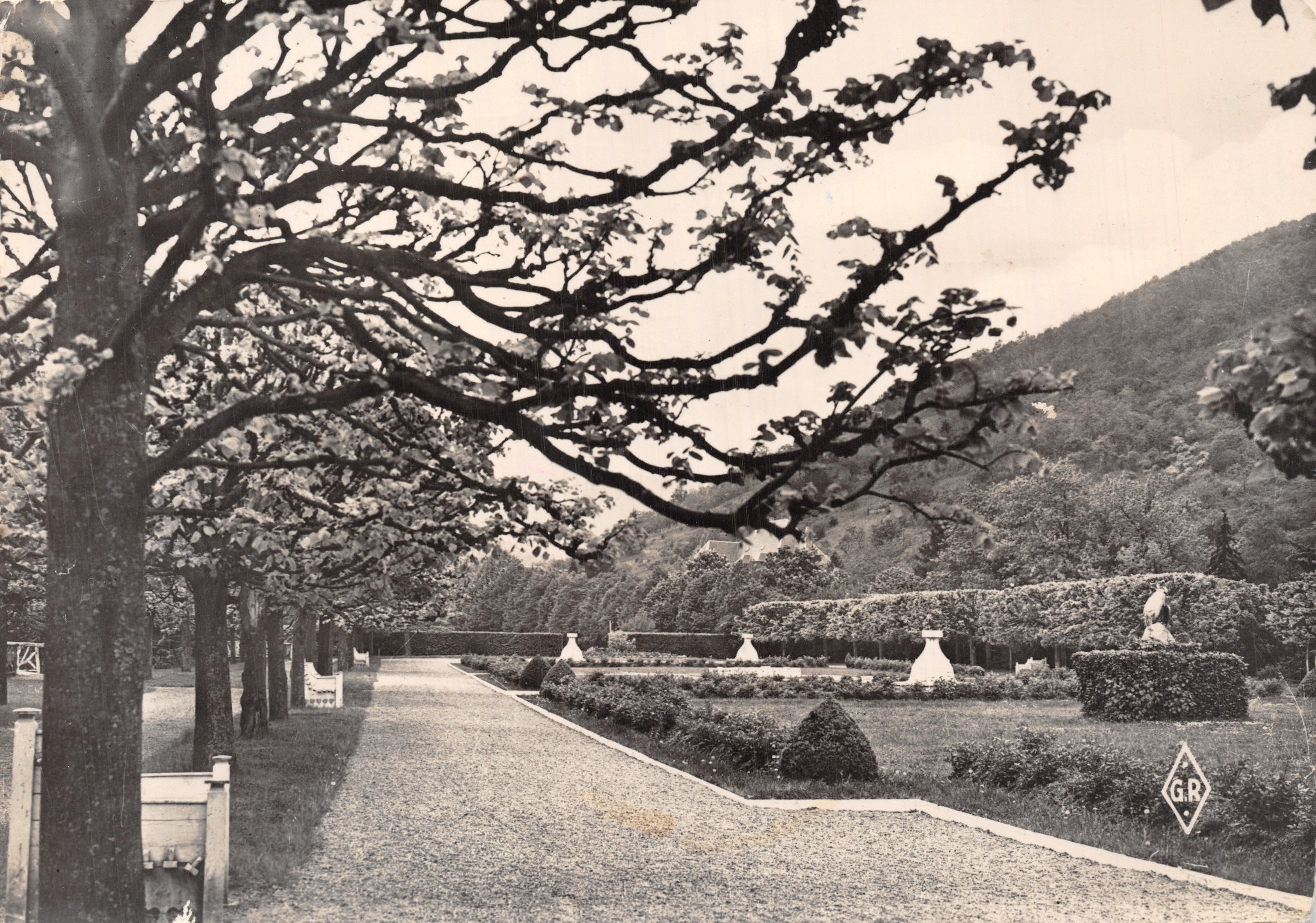 Thann (Haut-Rhin) — Vista del parque Albert I — Editions Gaillard, n° 665