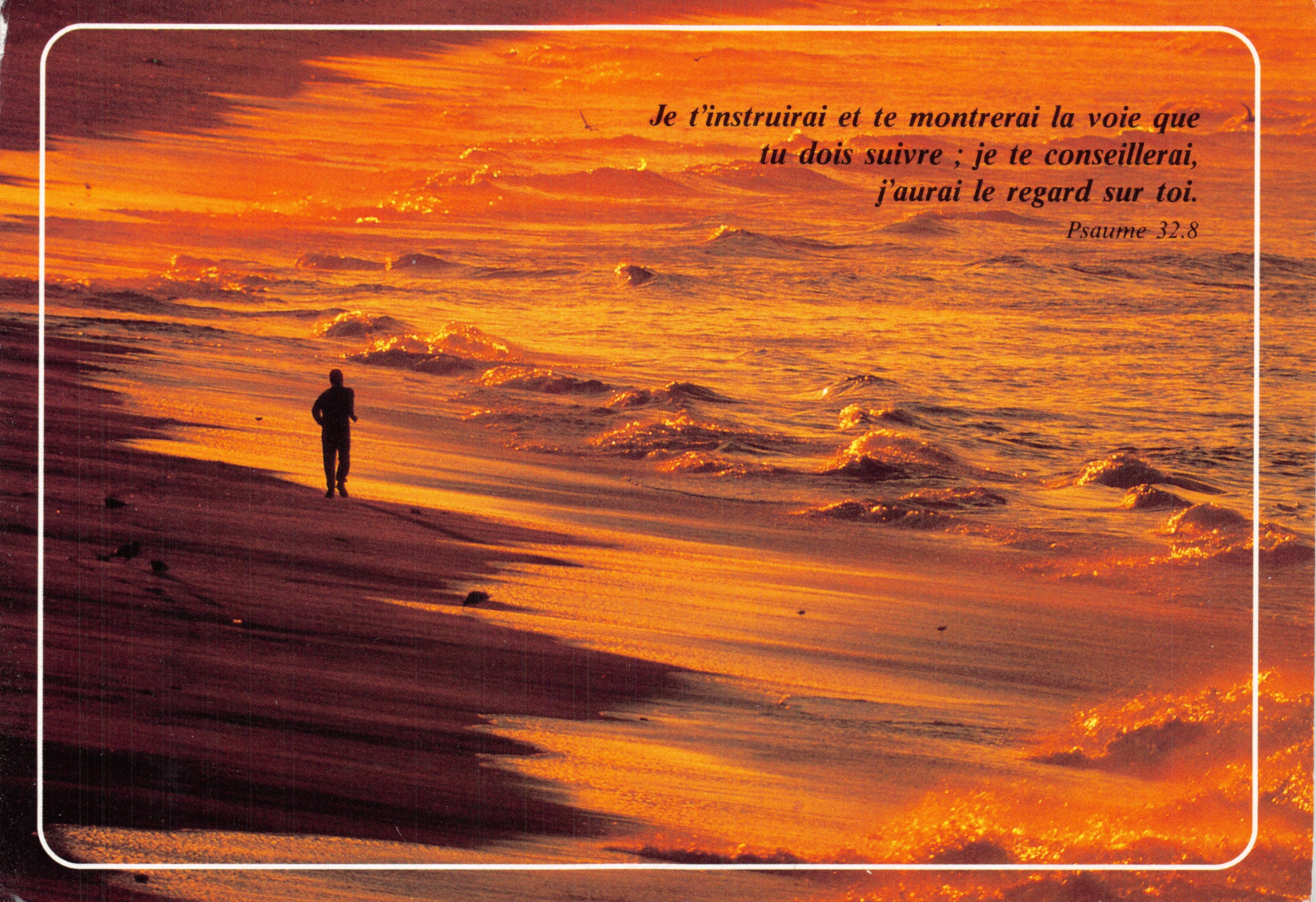 Silhouette op de strand bij zonsondergang — uitgever SCANDINAVIA PUBLISHING HOUSE, foto nummer 302-91