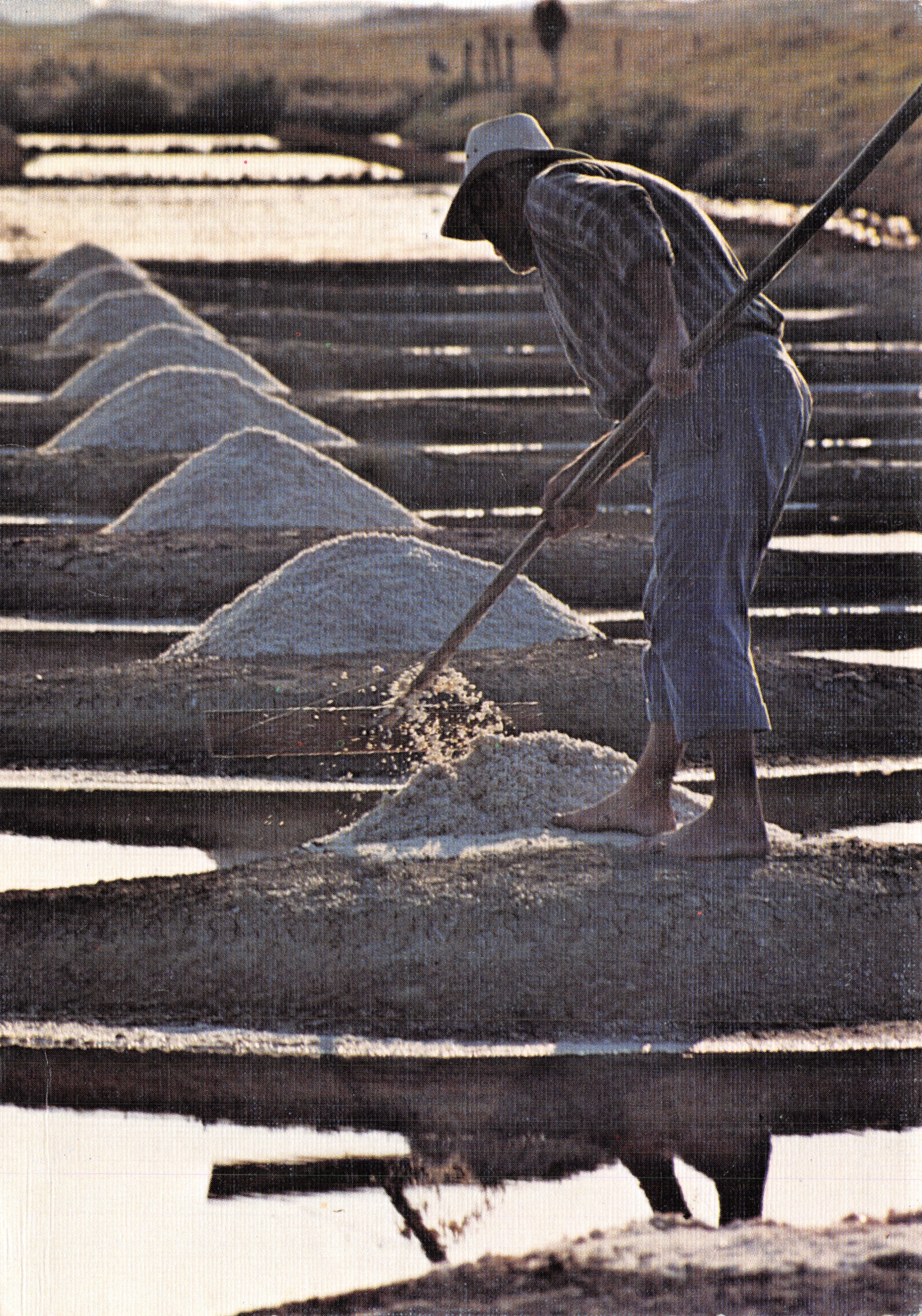 Salinas del Atlántico — trabajador salinero con azadón — Edición « Europ » Sarreguemines n° 0206