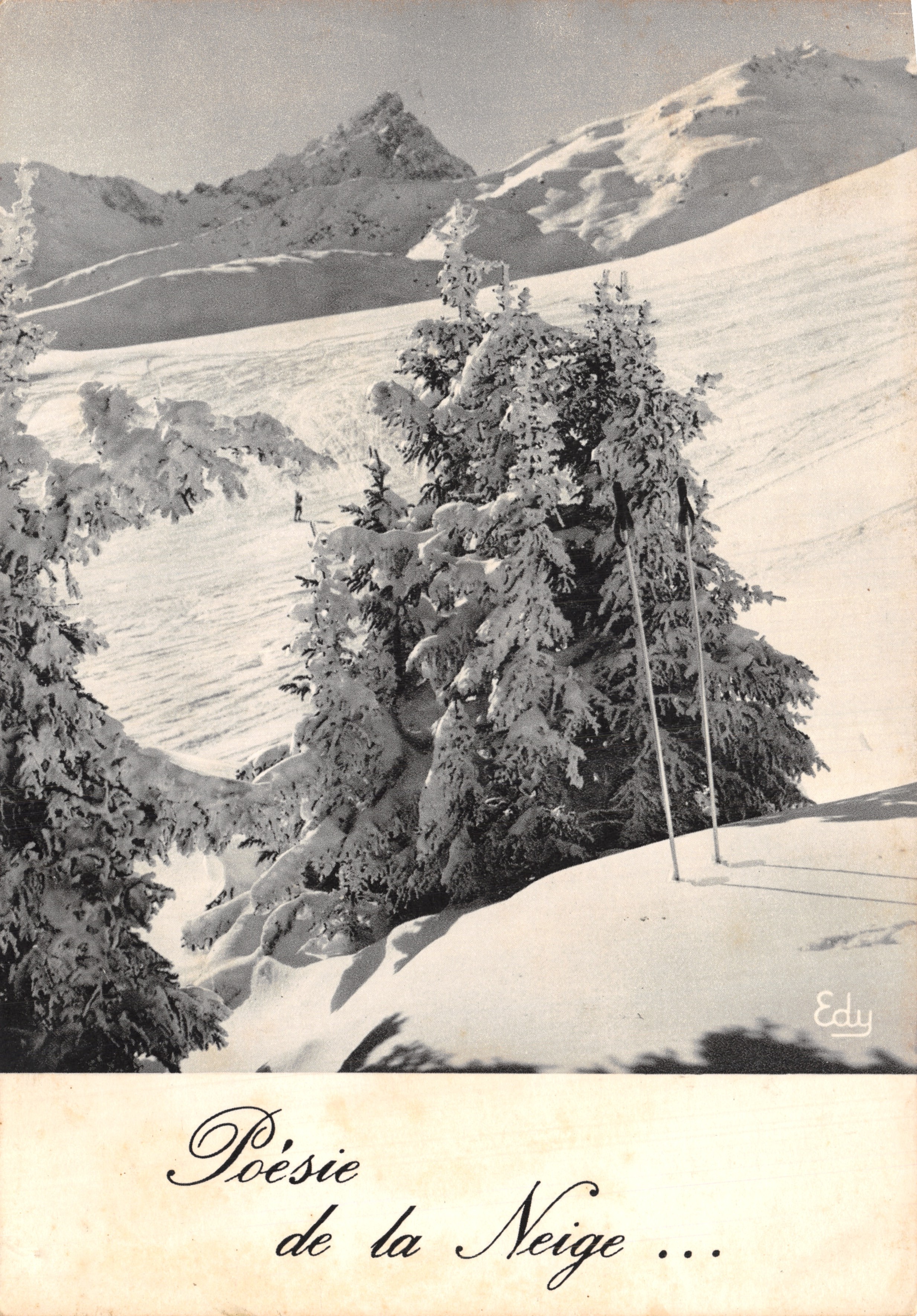 Poesie de la Neige — sneeuwlandschap met sparren en ski's — Edy