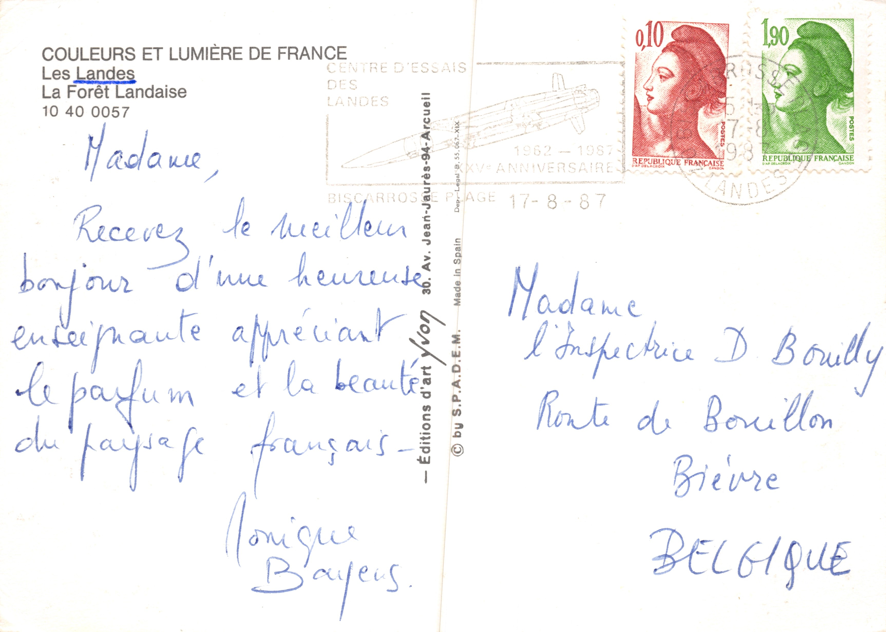 Bosque Landaise — escena de bosque con helechos soleados — Yvon, editor Éditions d'Art Yvon — Reverso