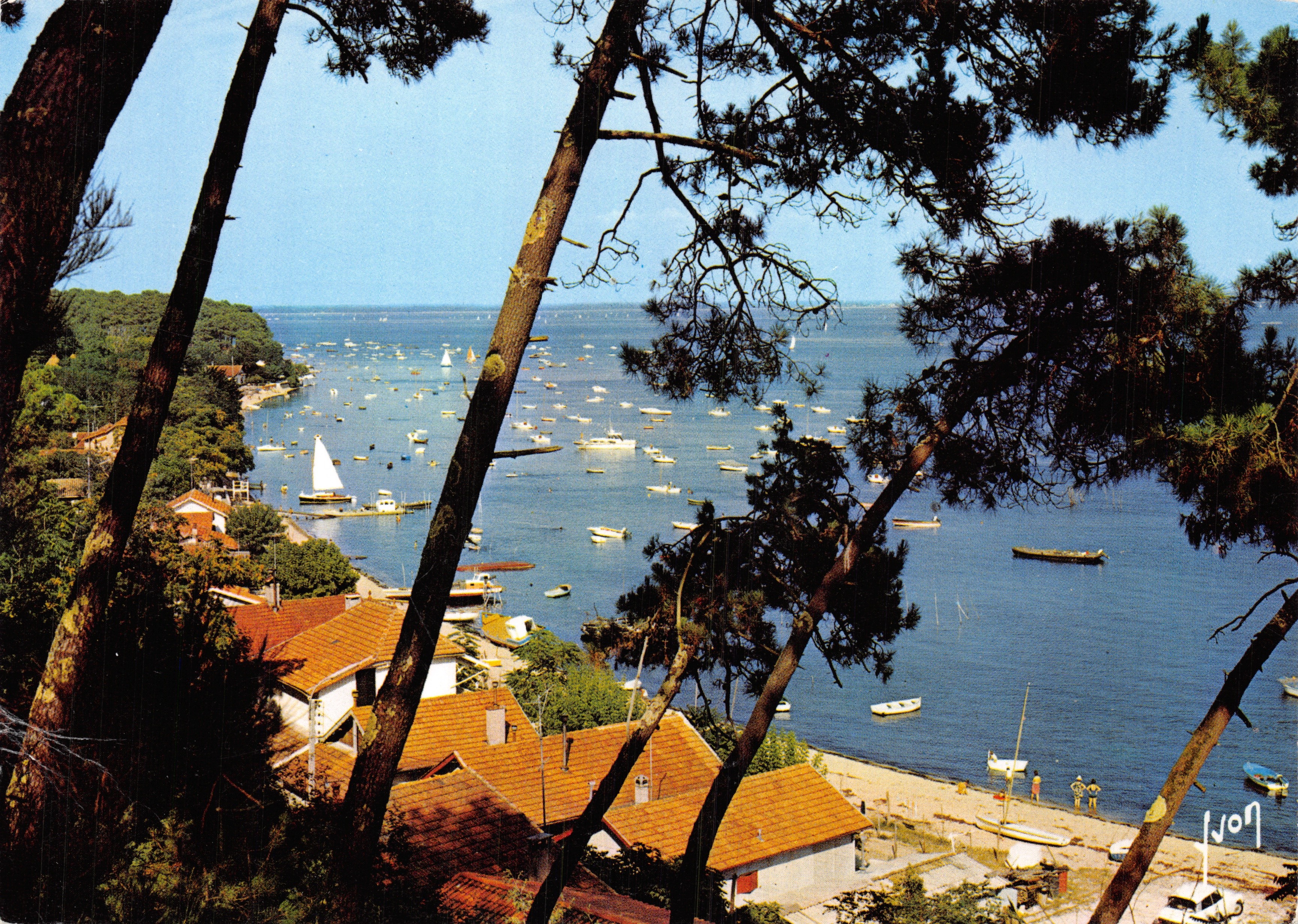 Bassin d'Arcachon — vista desde los pinos — Éditions Jaures-94