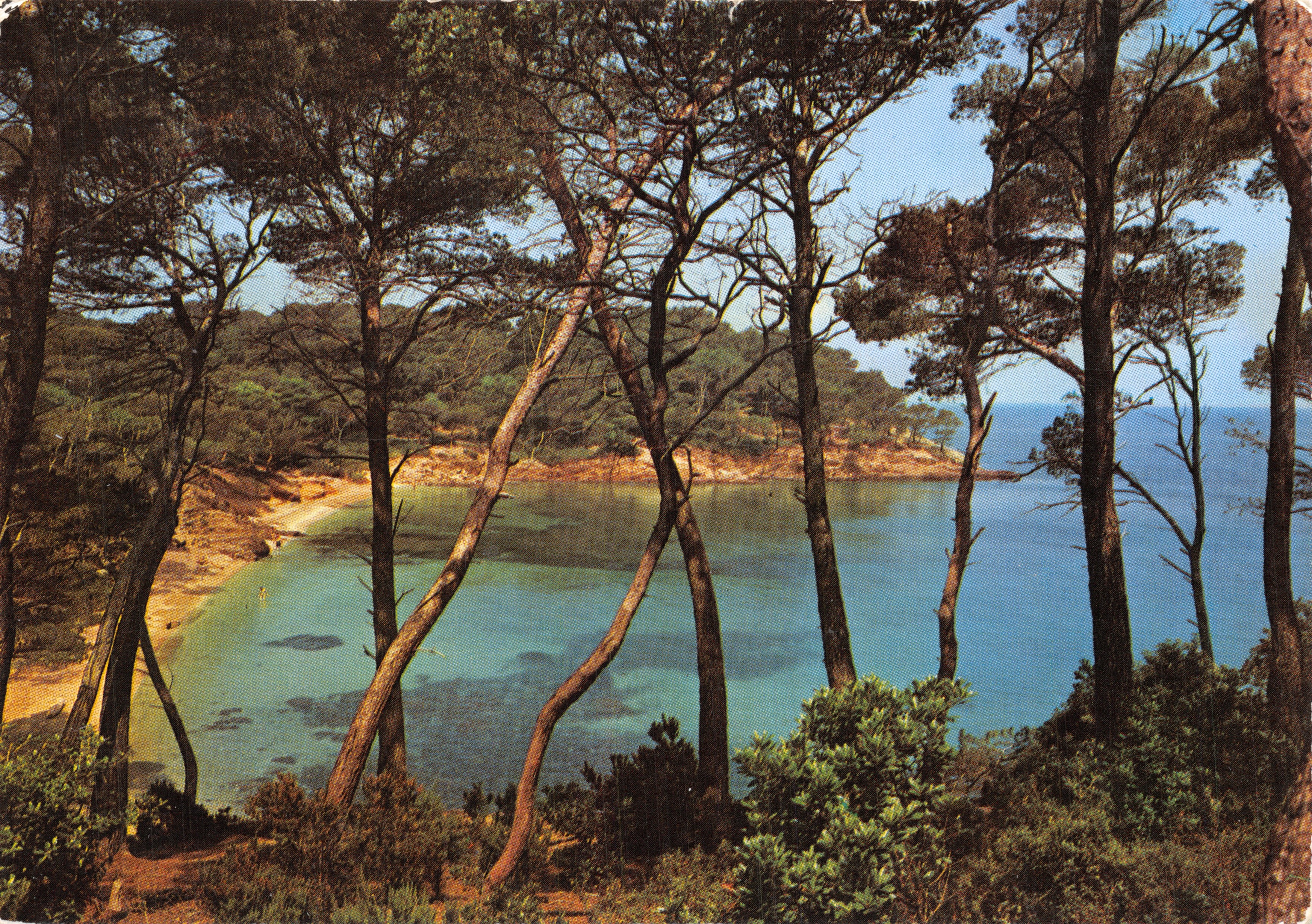 Plage d'Or ensoleillée — vue de la côte méditerranéenne à Bormes-les-Mimosas — Éditions de France, Reproduction Naturelle, n°7267