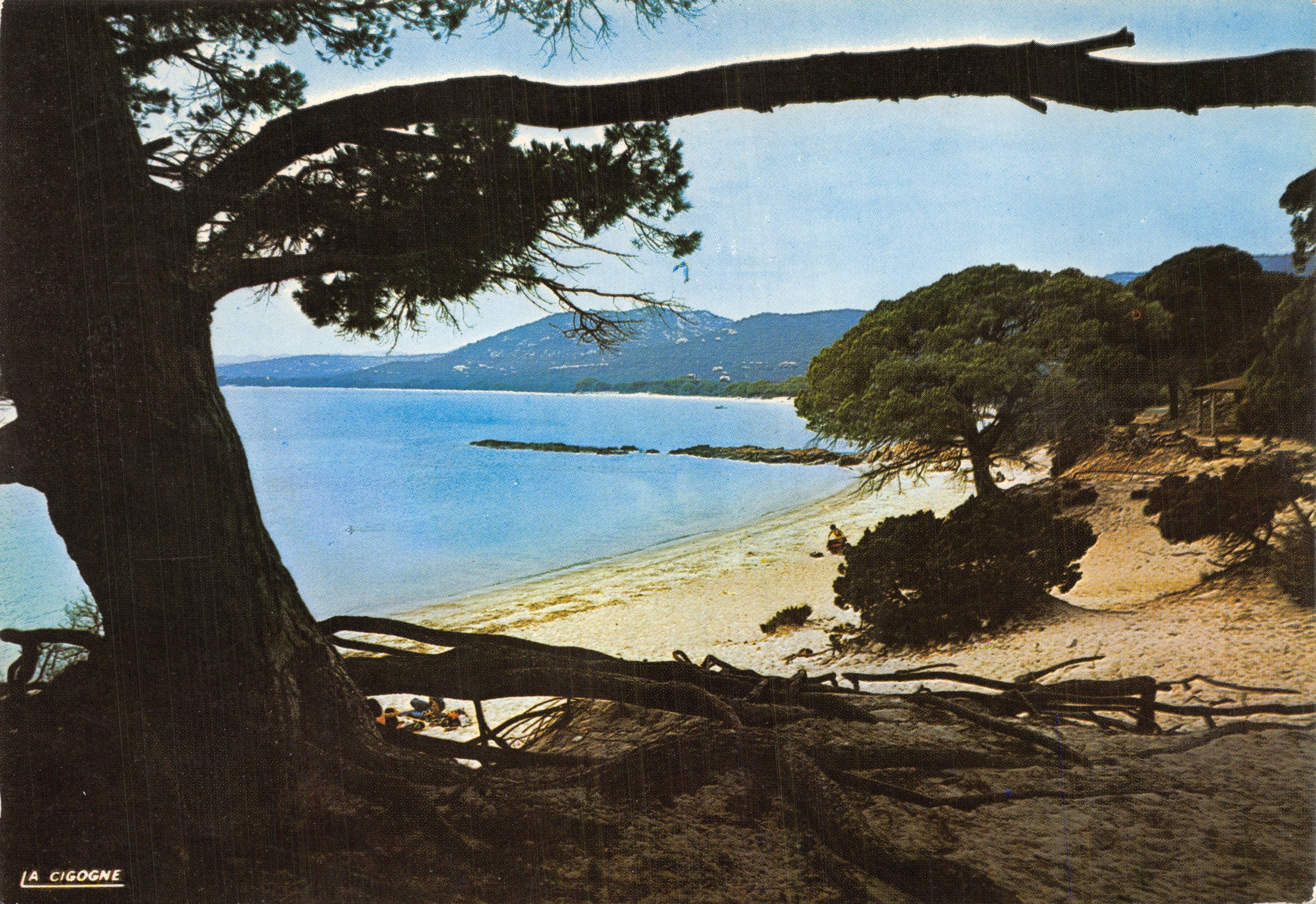 Die Storch — Aussicht auf einen Strand, eingerahmt von einer Kiefer — Verlag LA CIGOGNE