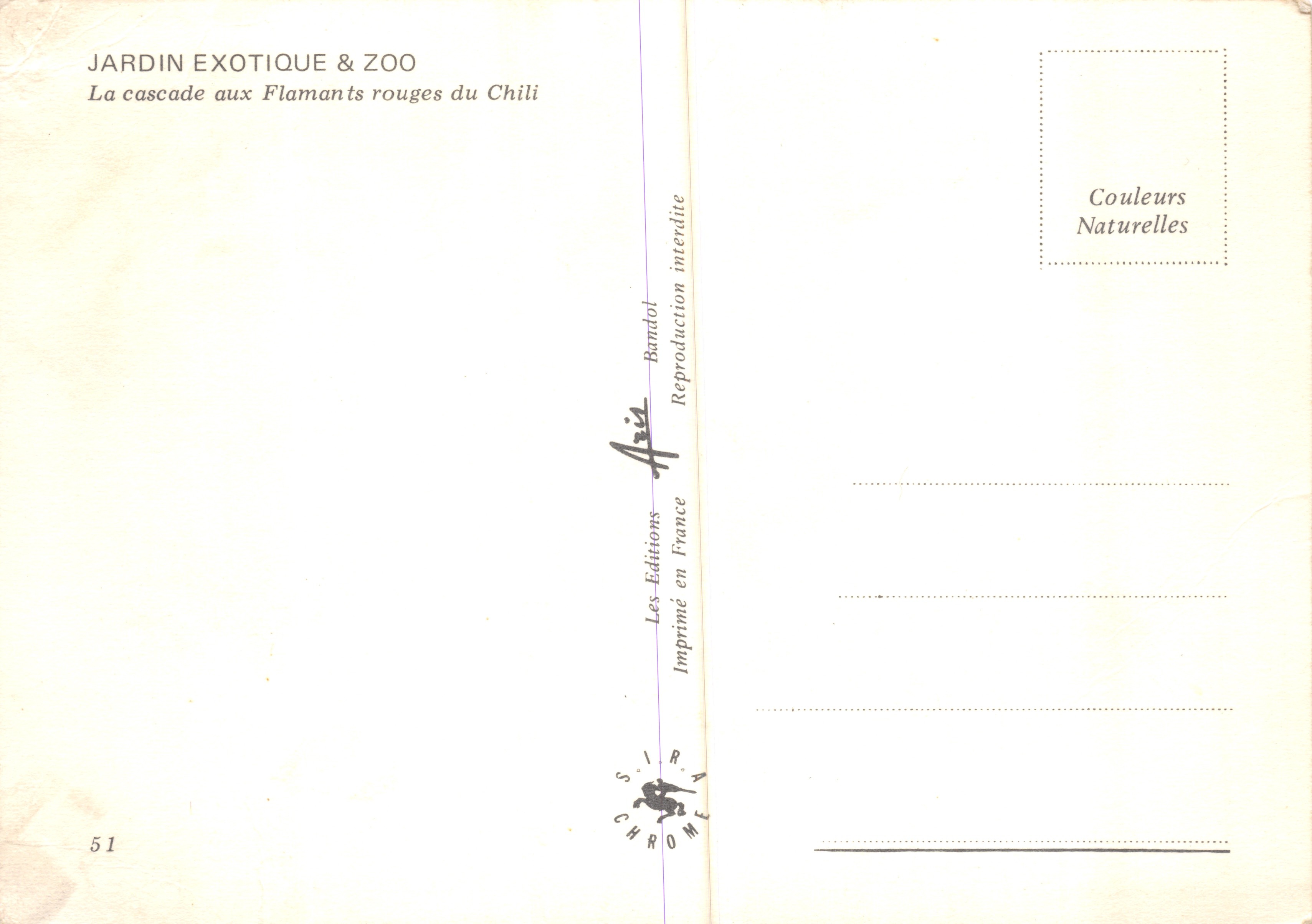 Giardino Esotico & Zoo — La cascata dei Flamingo del Cile — Edizioni Randol — Verso