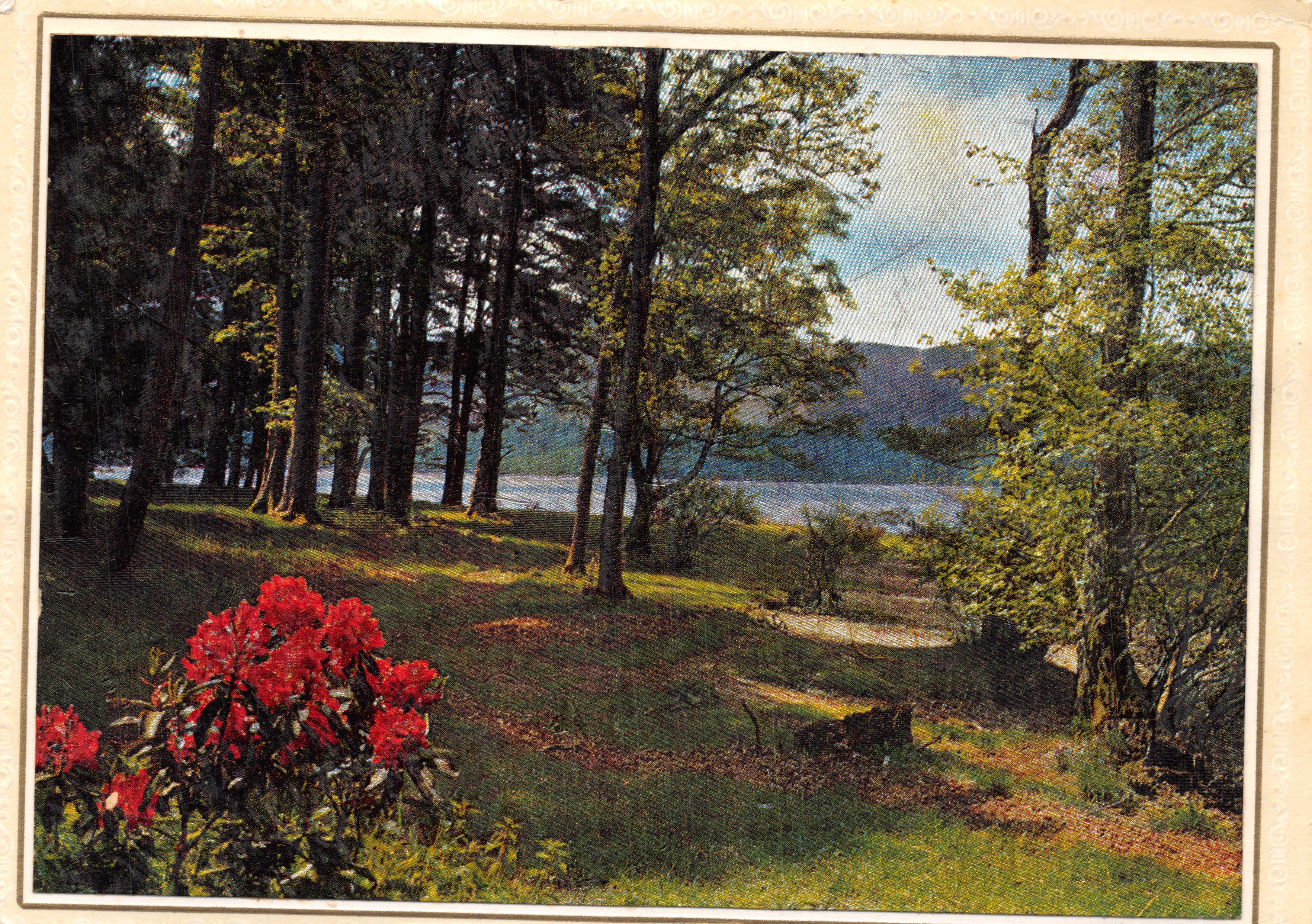 Lago circondato da bosco — vista con rododendri rossi — editore: Éditions du Nord