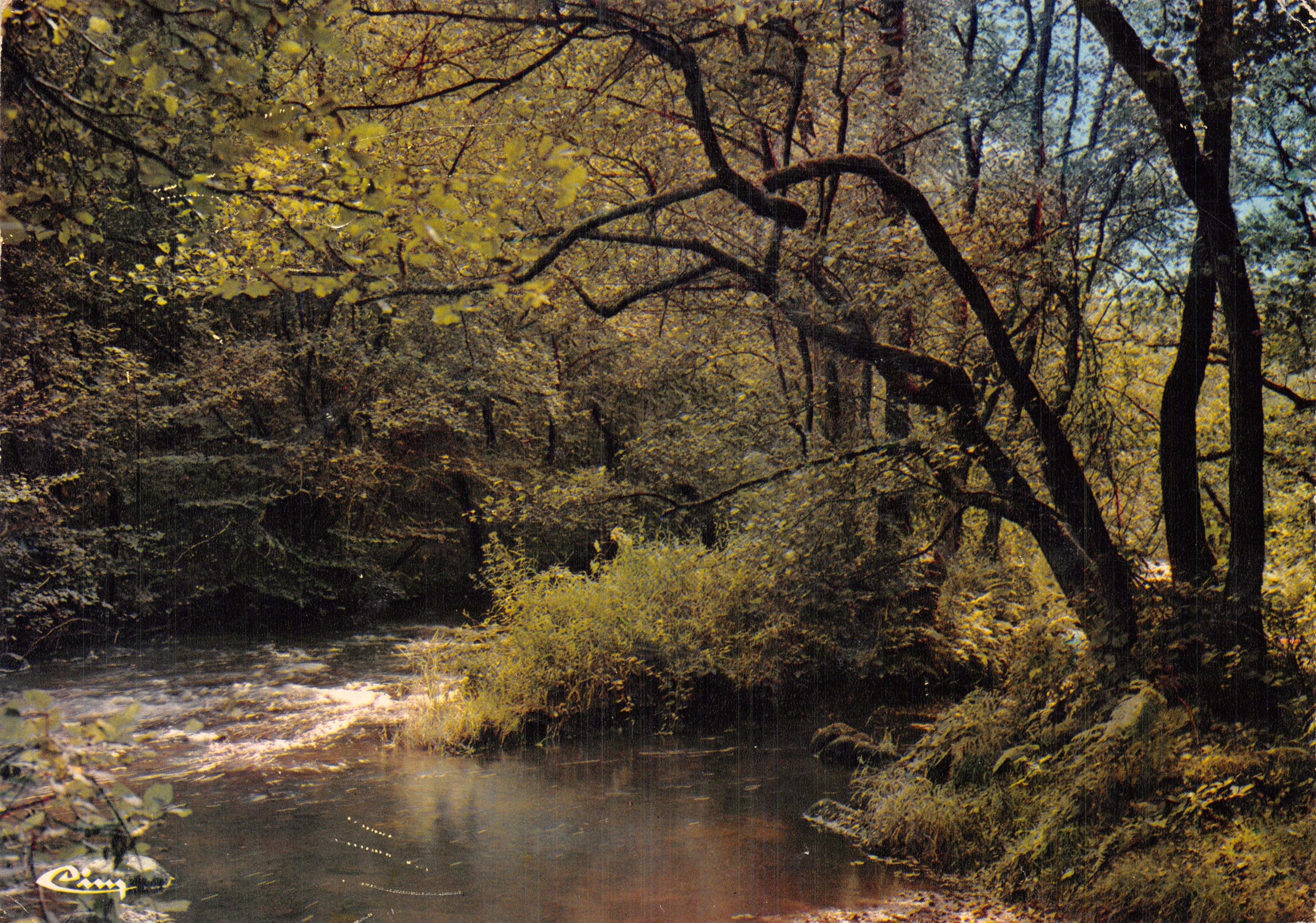 Sponde del Chalau - Foresta autunnale — editore 'La France Touristique' n. 581890