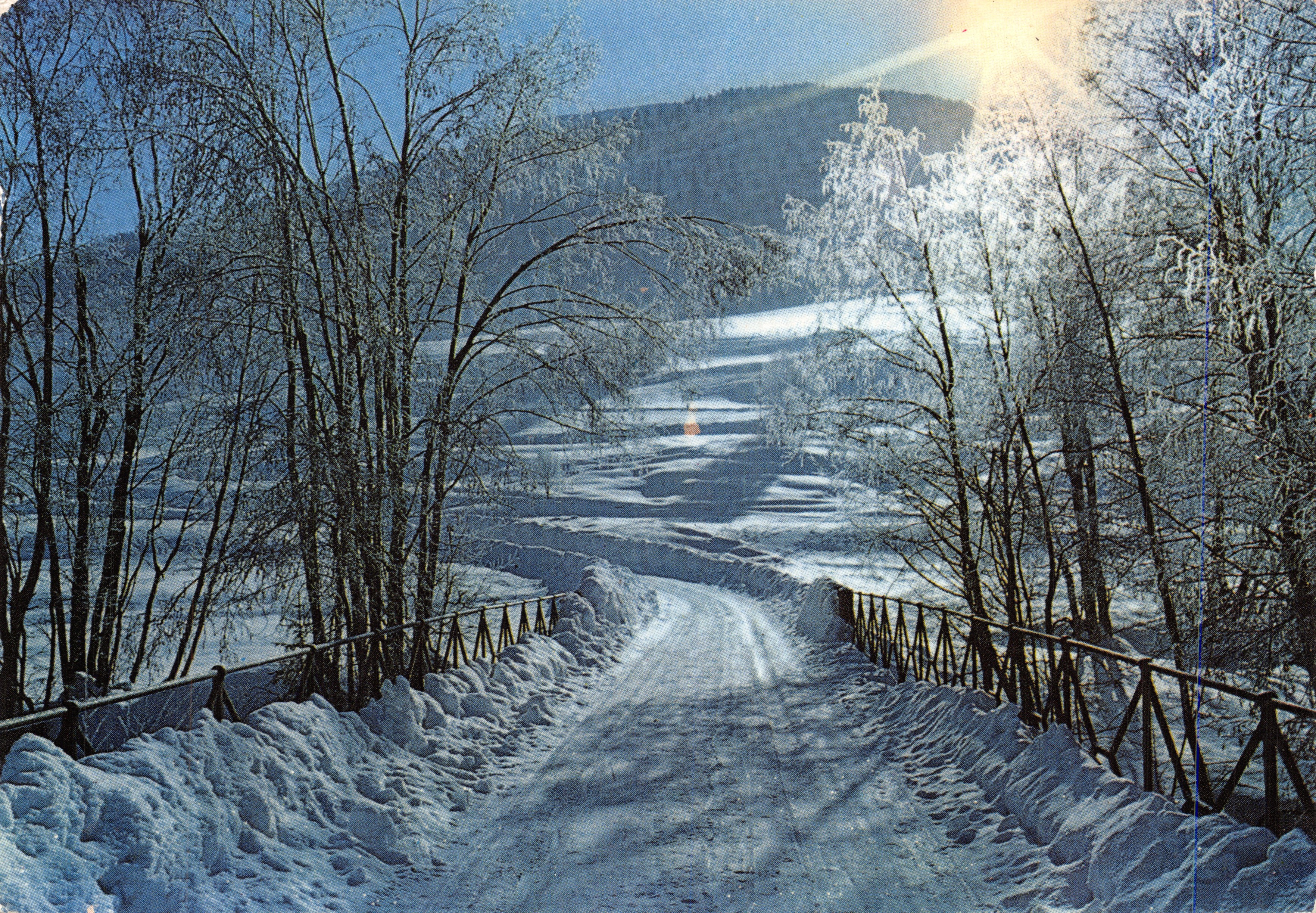 Paesaggio invernale — Strada innevata fiancheggiata da alberi sotto il sole — Les Photographies de la Plaine, Édition Féerie du Givre, n° 7744 PP