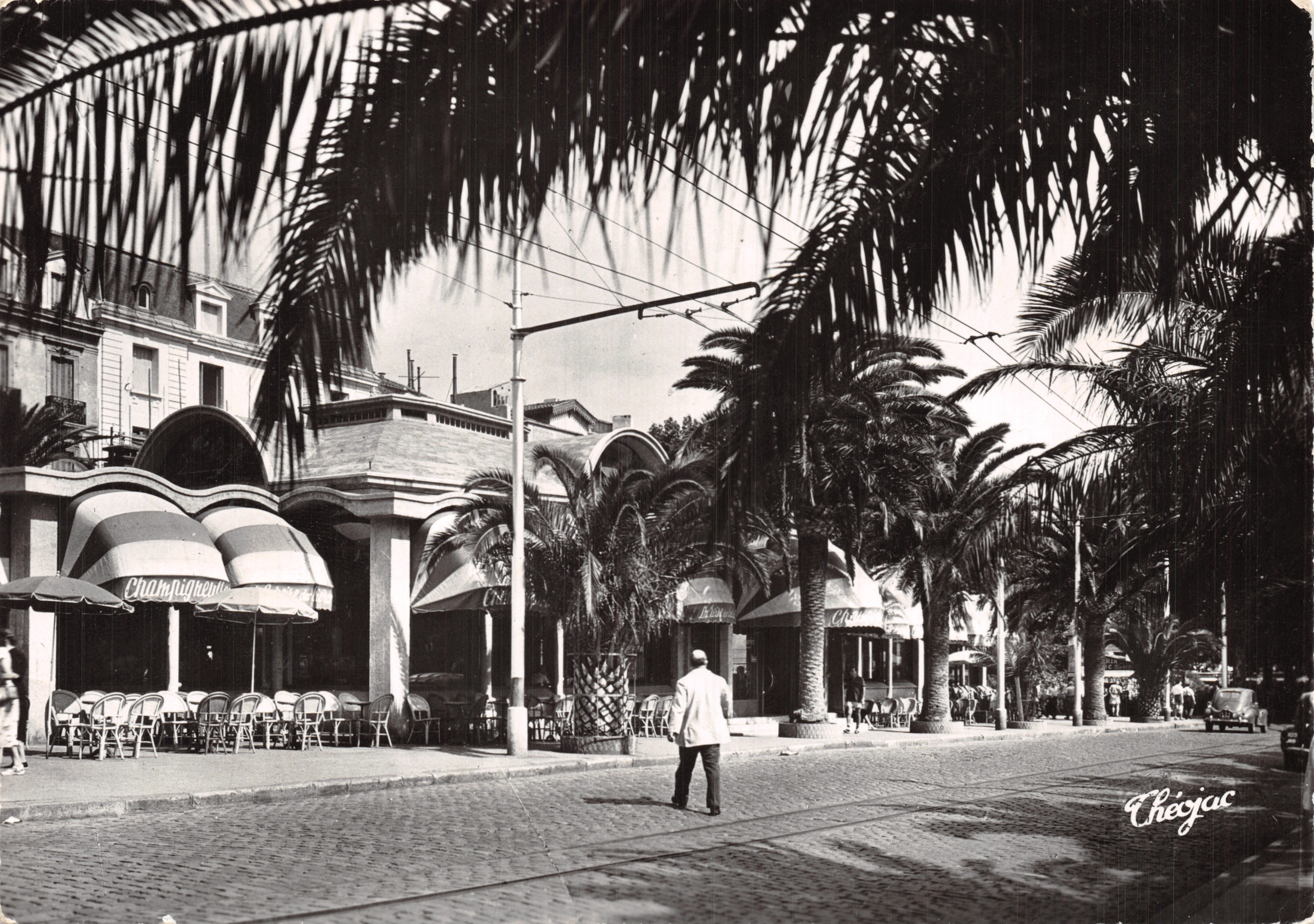 Café Champignond — terras in de schaduw van palmboom — uitgever Checjac