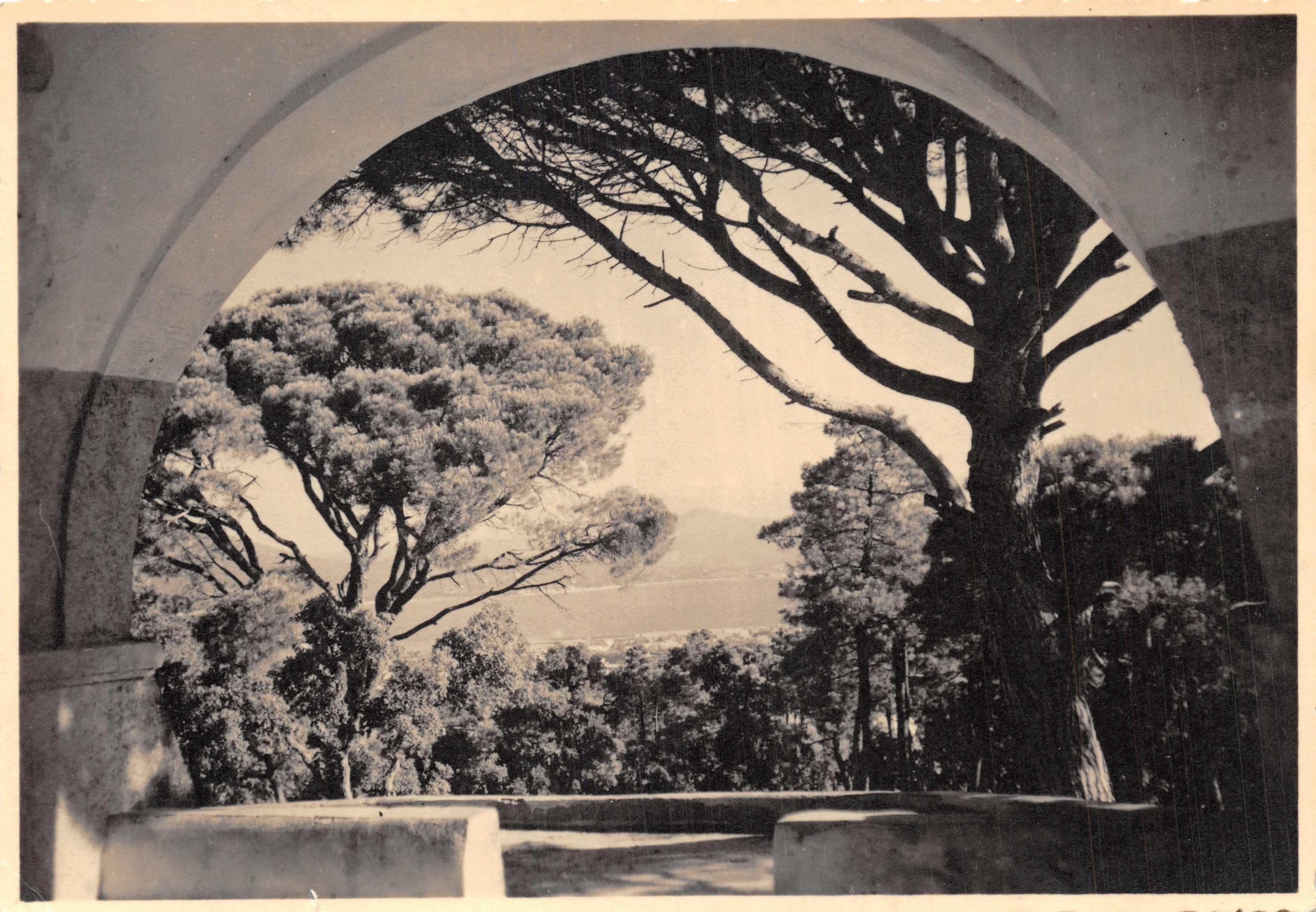 Vue de la chapelle Sainte-Anne — vue encadrée par un arc et des pins — éditeur F. Baruzzi, Ostialo, Nice