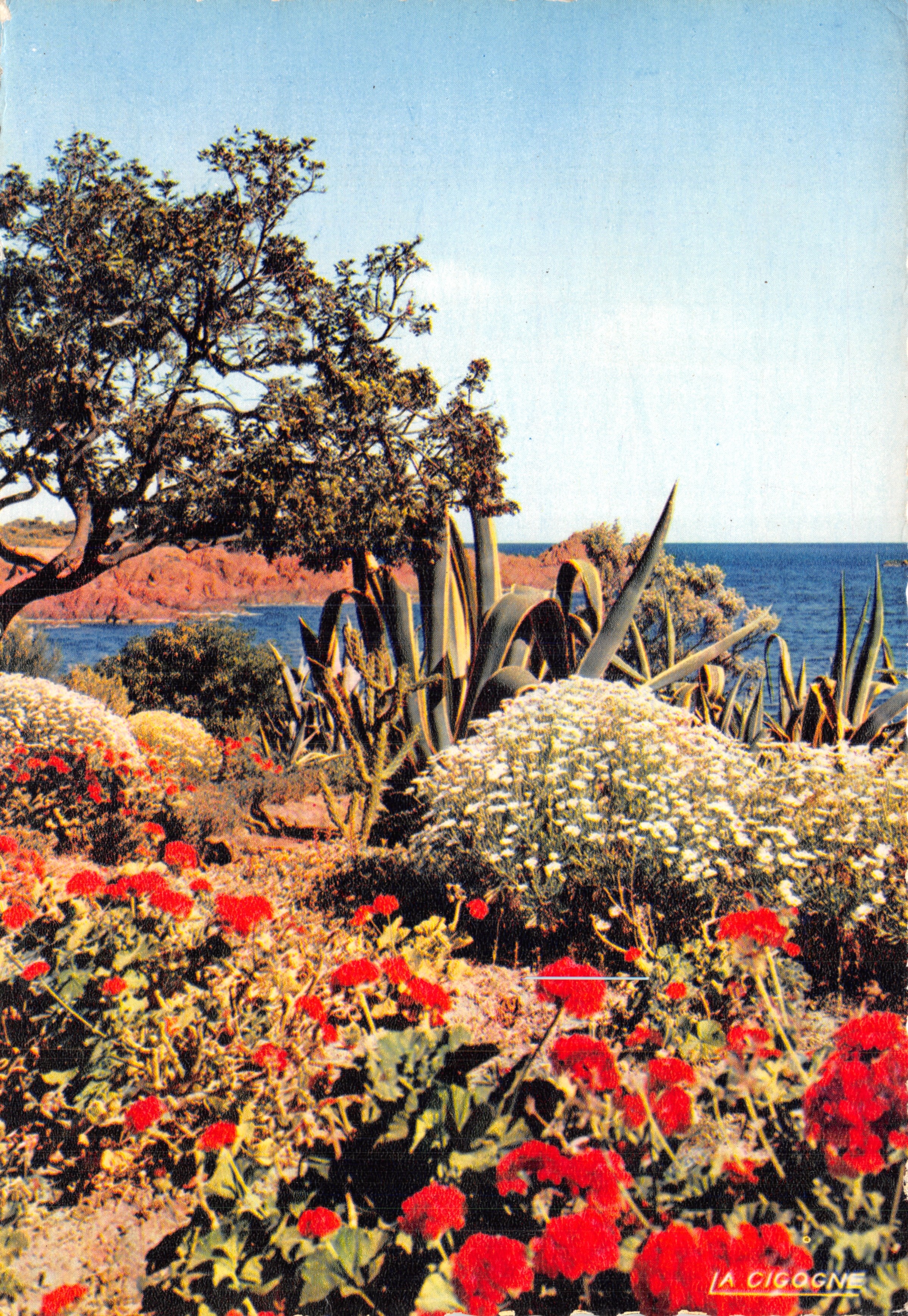 Coastal Garden — view of La Cigogne — publisher LA CIGOGNE