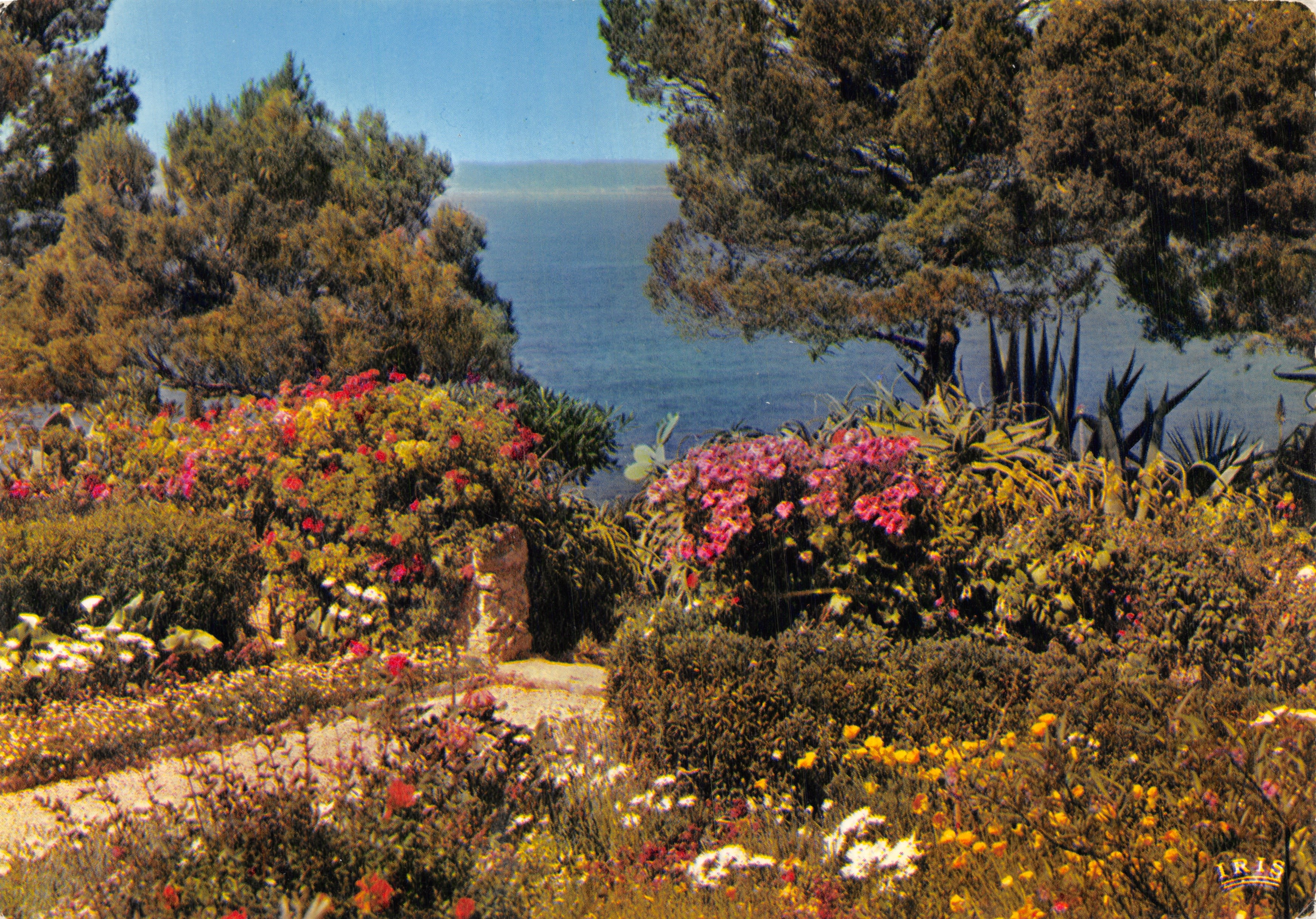 Flowered Garden — View of the Sea — Publisher IRIS