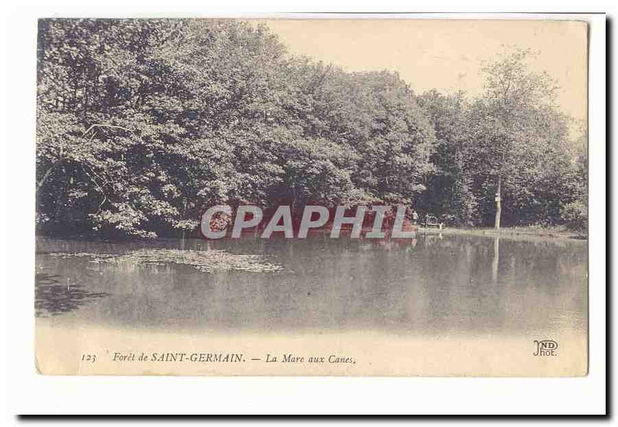 Forêt de SAINT-GERMAIN — La Mare aux Canes — ND Phot.