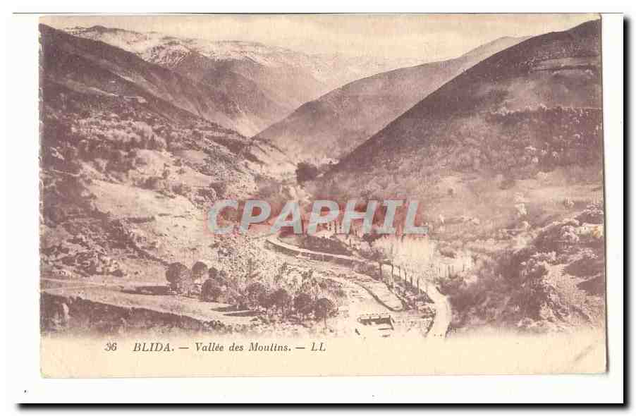 Algerie CPA Blida Vallee des Moulins