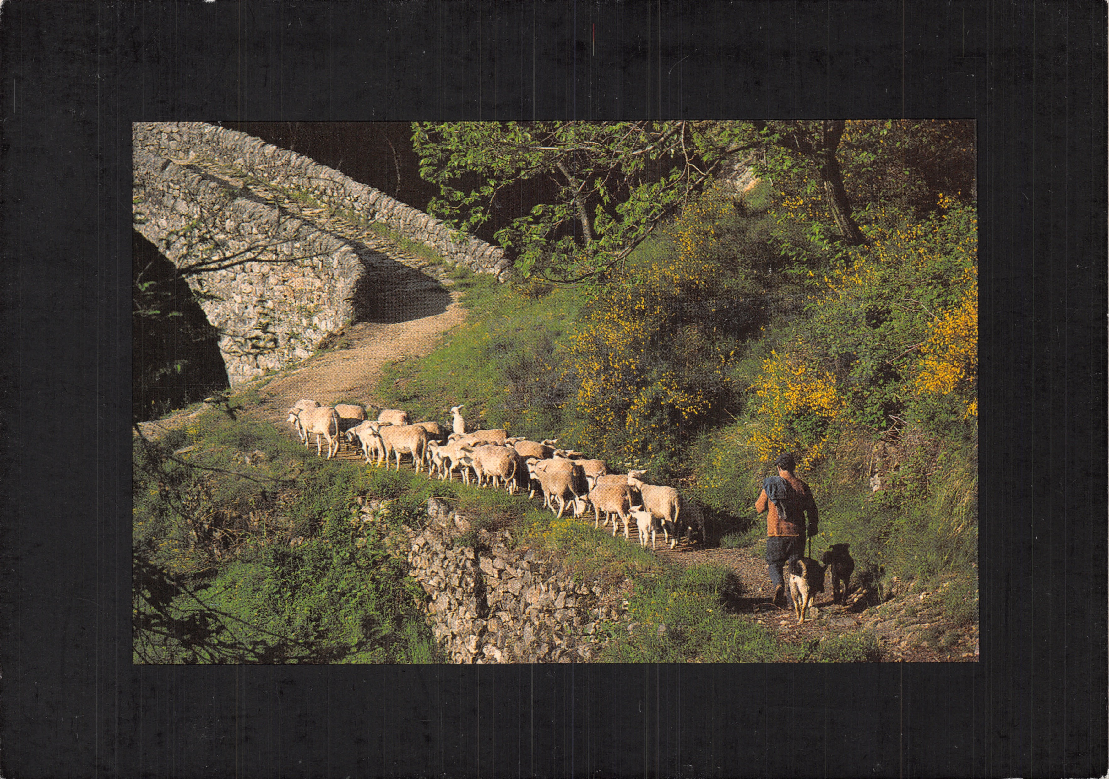 Pastor y rebaño — bajo un puente de piedra — editor INEDITTE, Thueyts