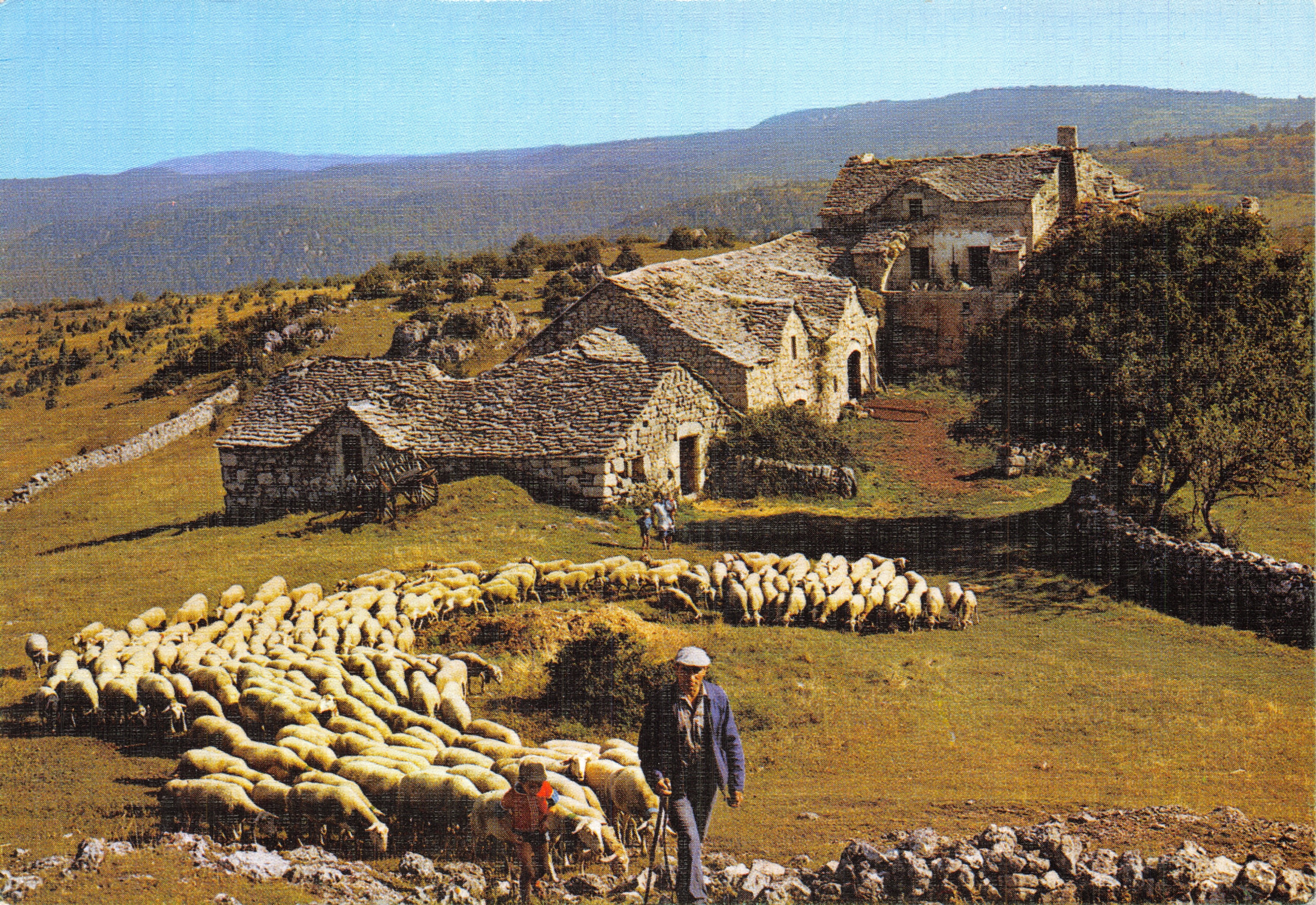 Pascua de ovejas — casa de piedra en las montañas — Photo Editions BOS 15130 Ytrac