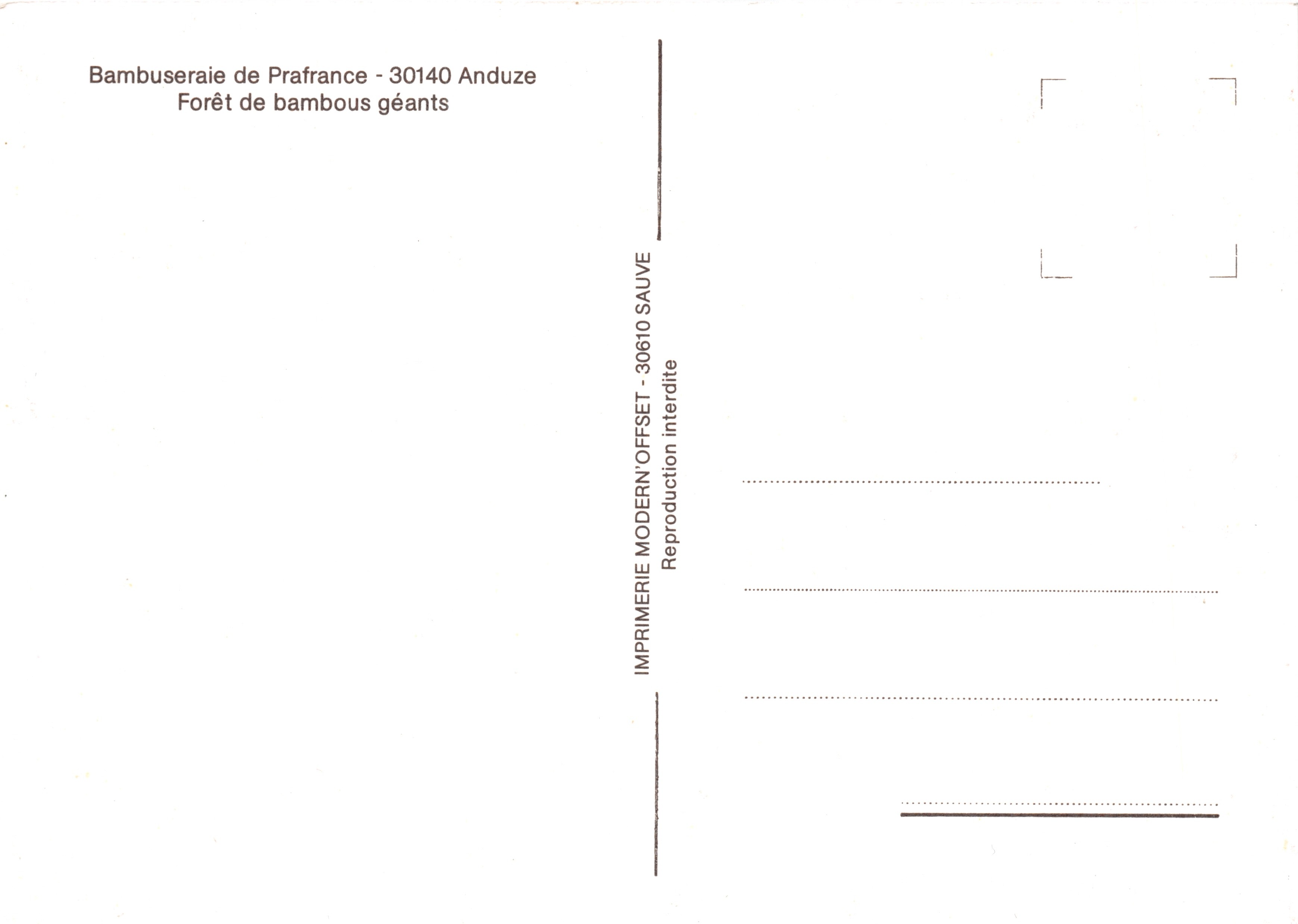 Forêt de bambous géants — Bambuseraie de Prafrance, Anduze — Imprimerie Modern'Offset, 30610 Sauve — Reverso