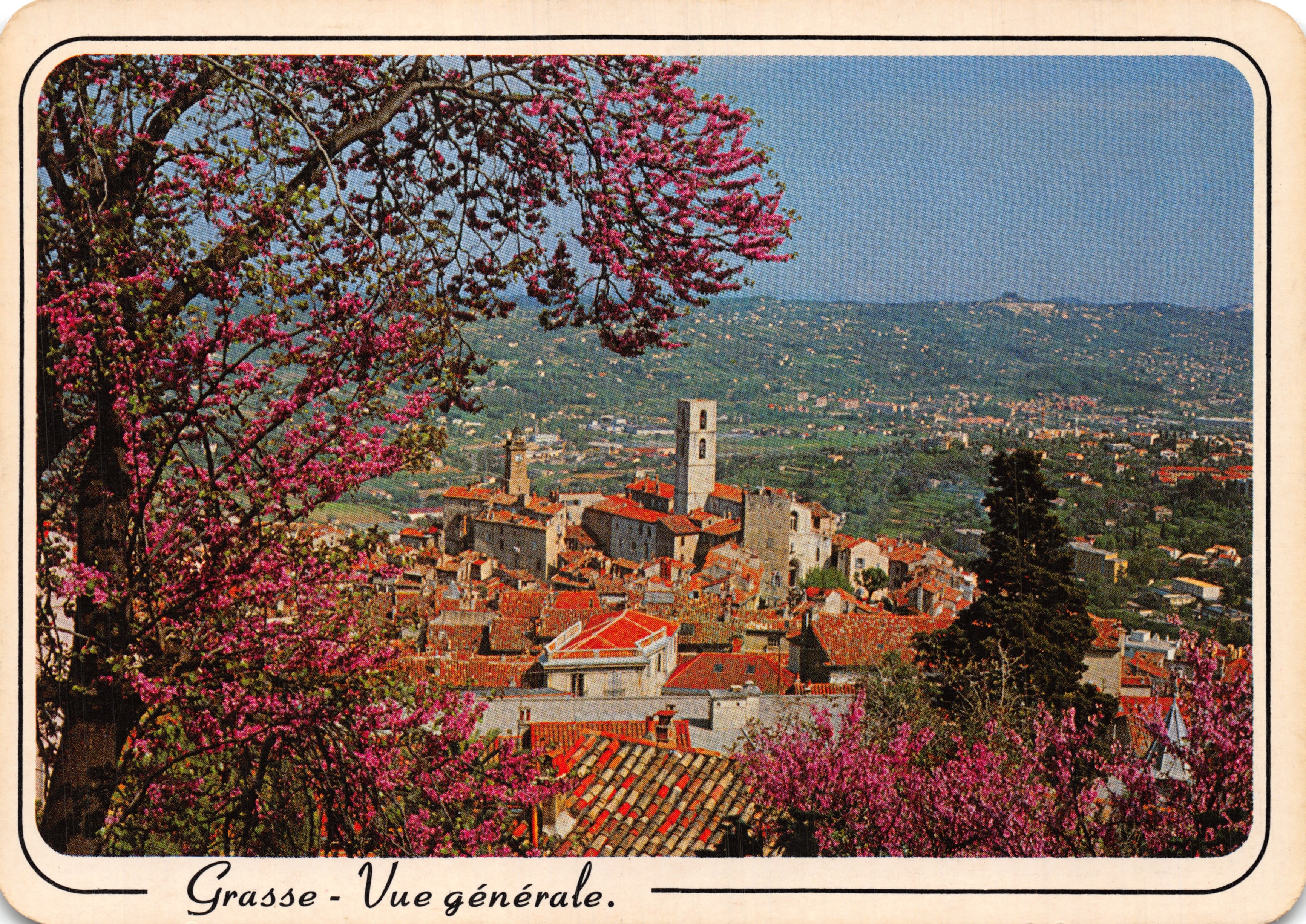 Grasse - Vue générale — vue panoramique avec arbres en fleurs roses et toits de tuiles rouges, éditeur PRESSE DIFFUSION - SAM - MONACO