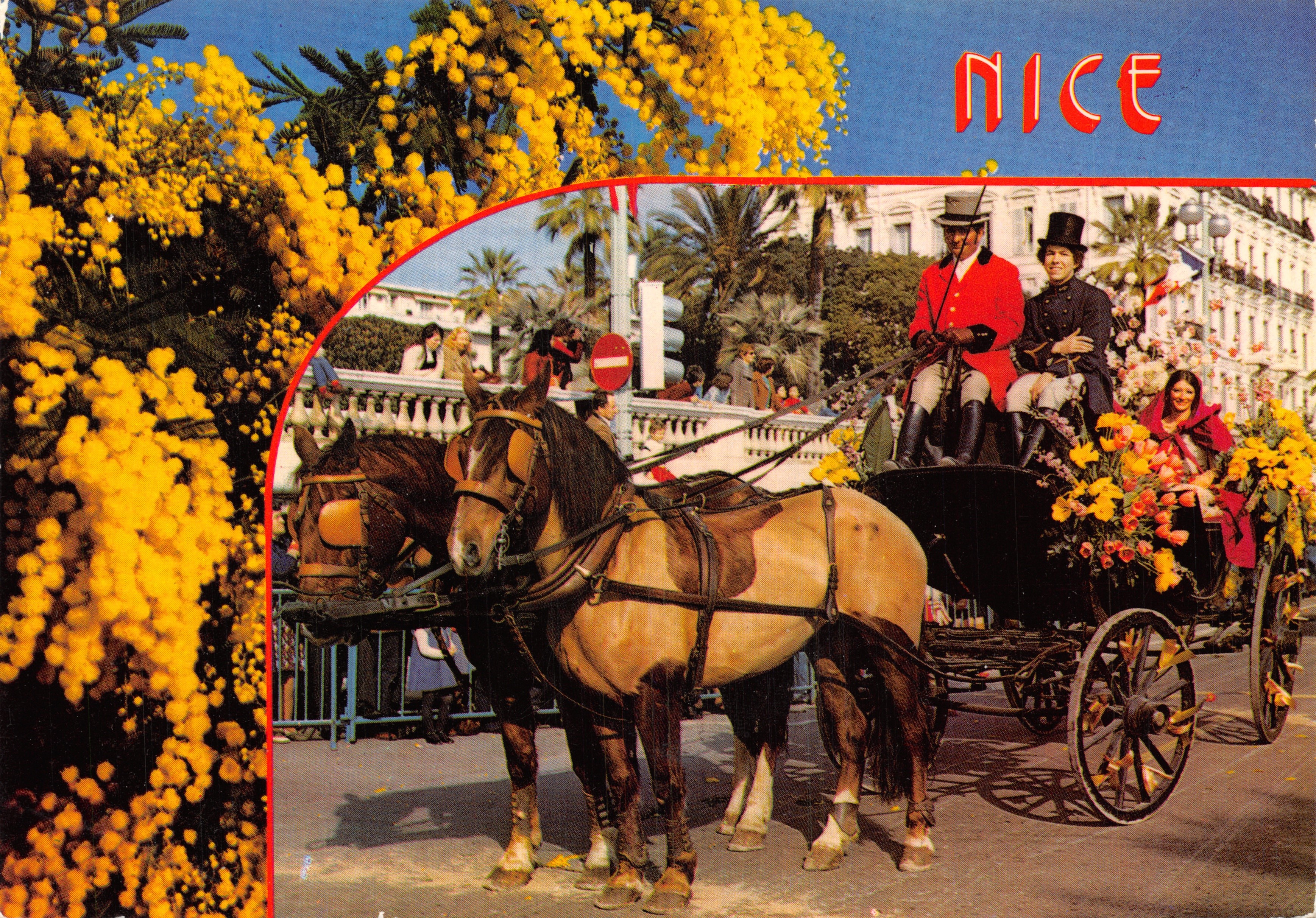 Nice — Carruaje tirado por caballos bajo flores de mimosa — Éditions AZUR RIVIERA