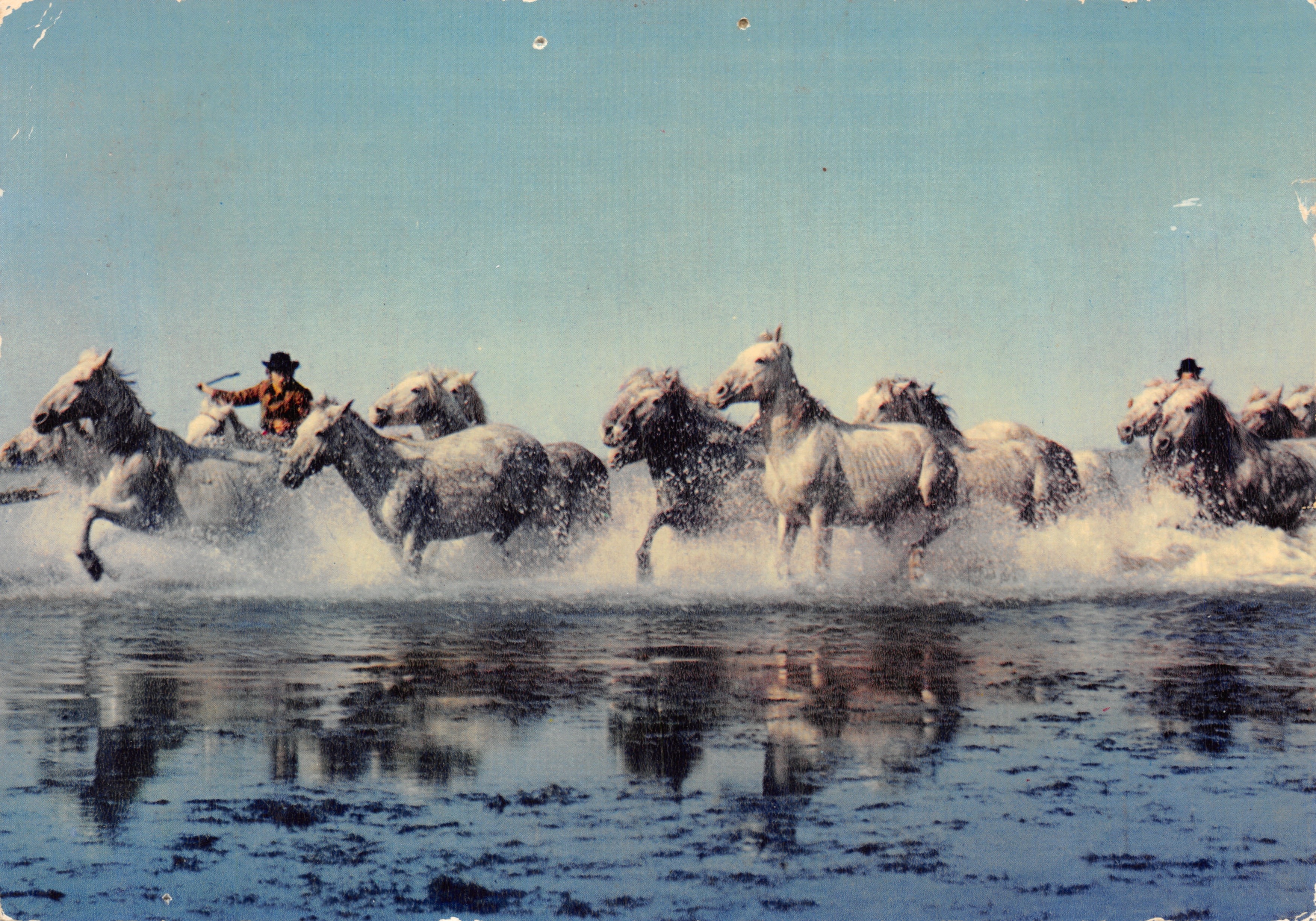 Galop in de Camargue — scène van paardenrennen in het water — uitgever Combiert Drukker Mâcon