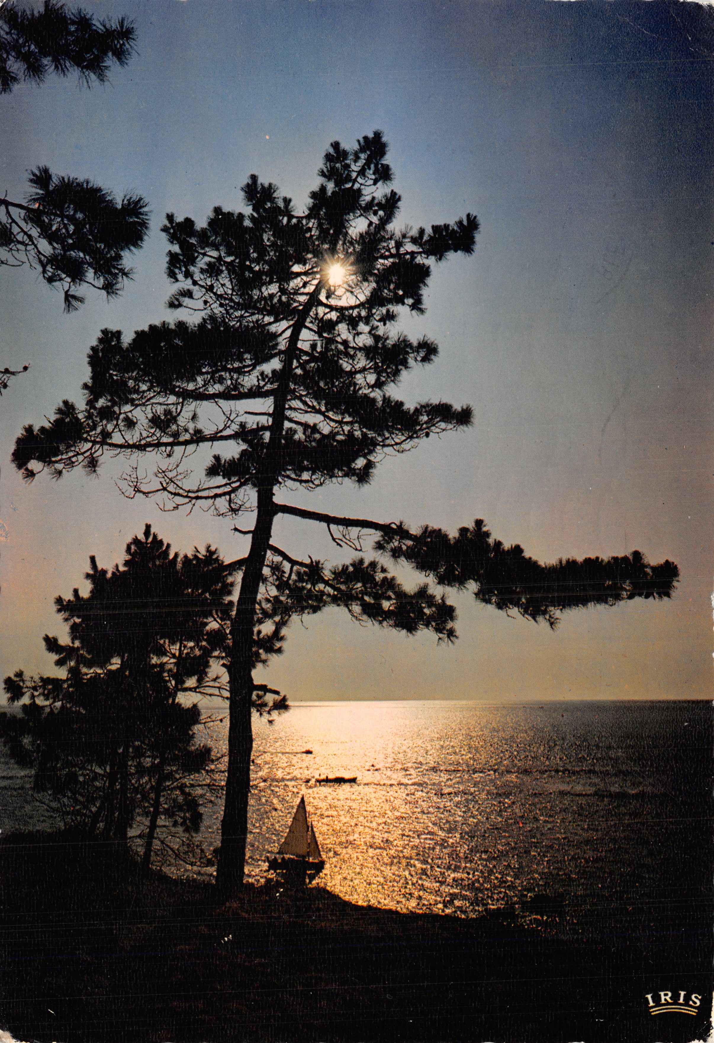 Atlantikküste — Blick auf das Meer bei Dämmerung mit einem Kiefer und einem Segelboot — Moderne Editionen « Timojar »