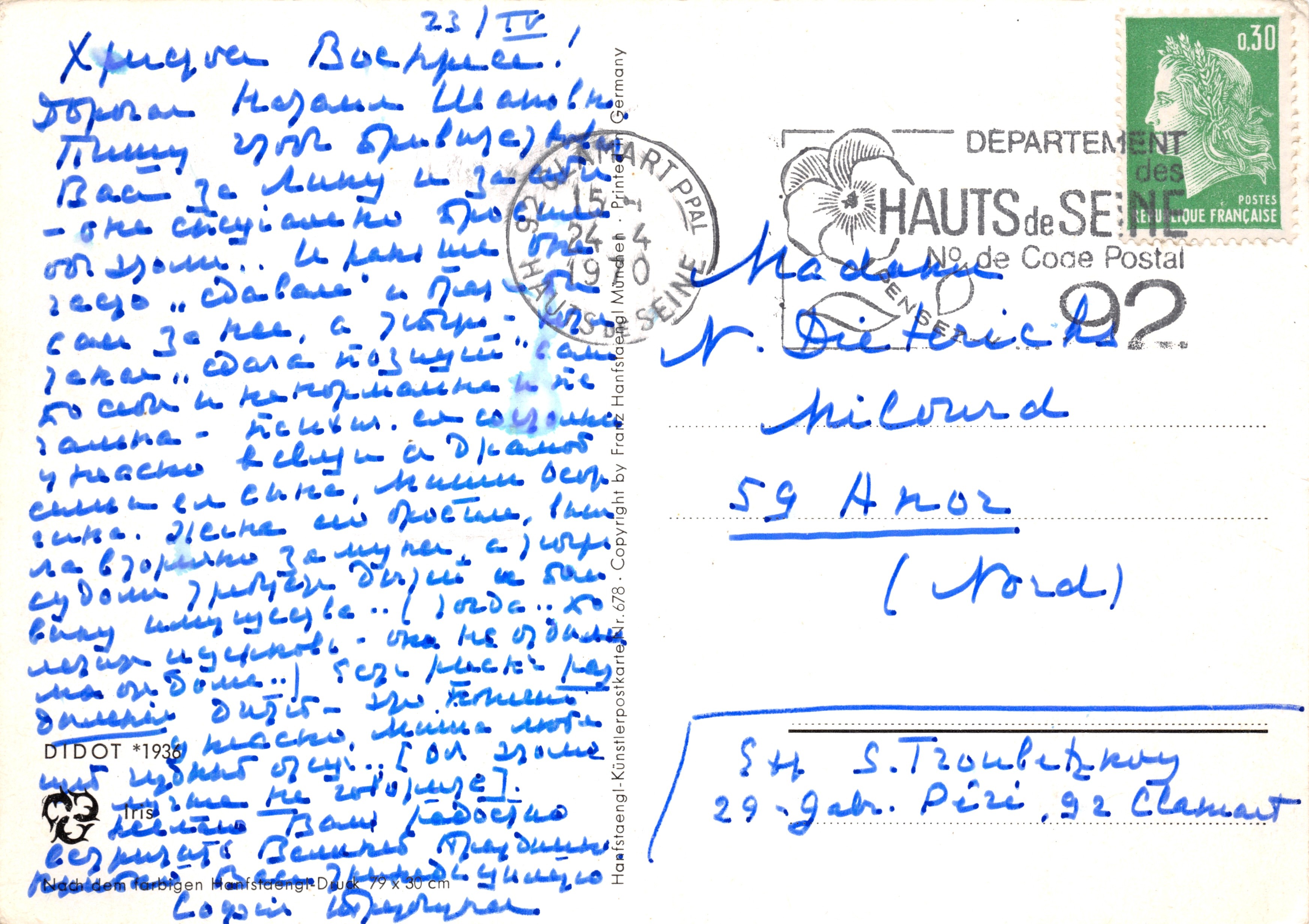 Iris gialli e viola — still life in una vasca — editore DIDOT *1938 — Verso
