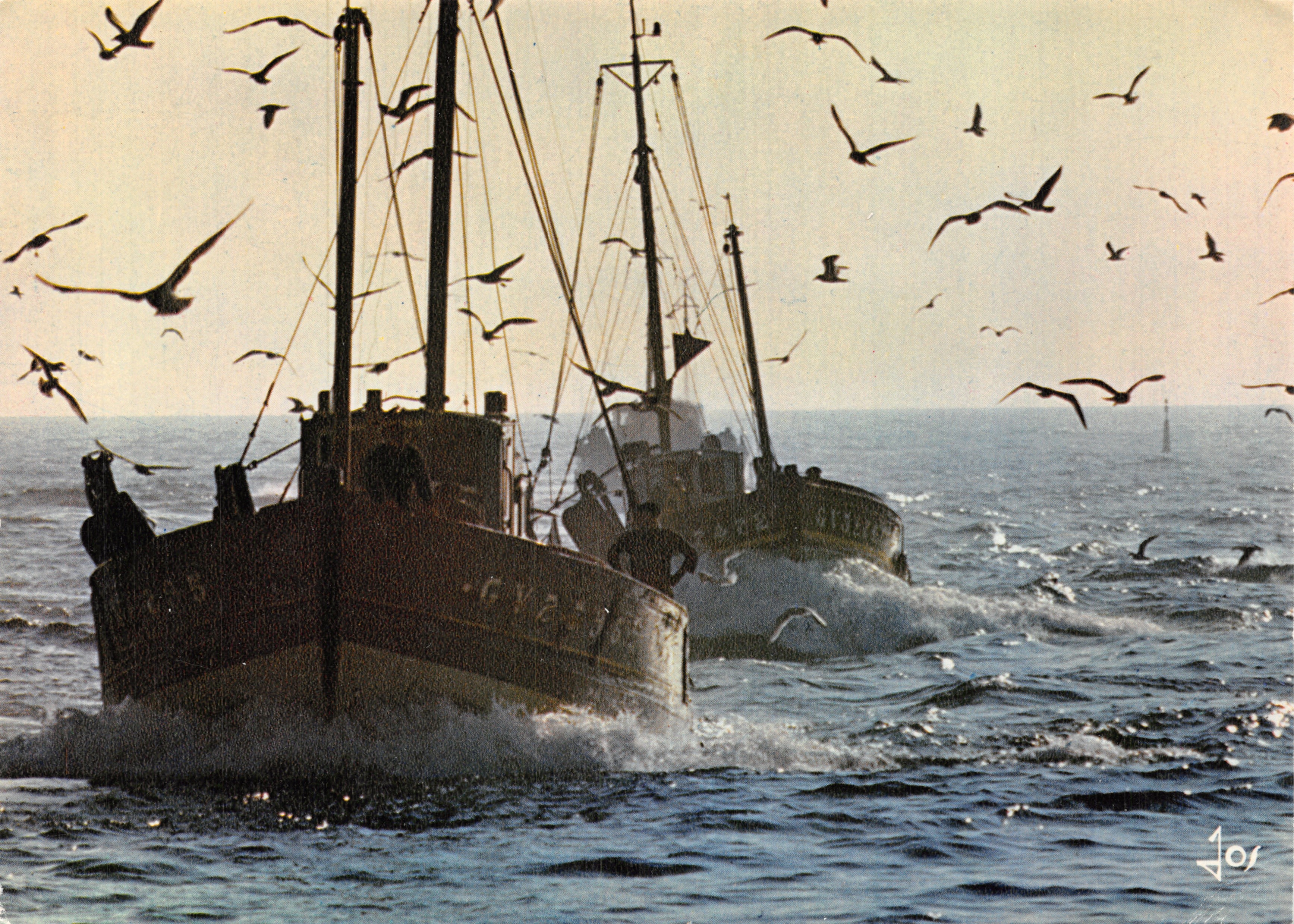 Pescatori in mare — due trawler in navigazione, uccelli in volo — editore Jos, n. B.V. 6038