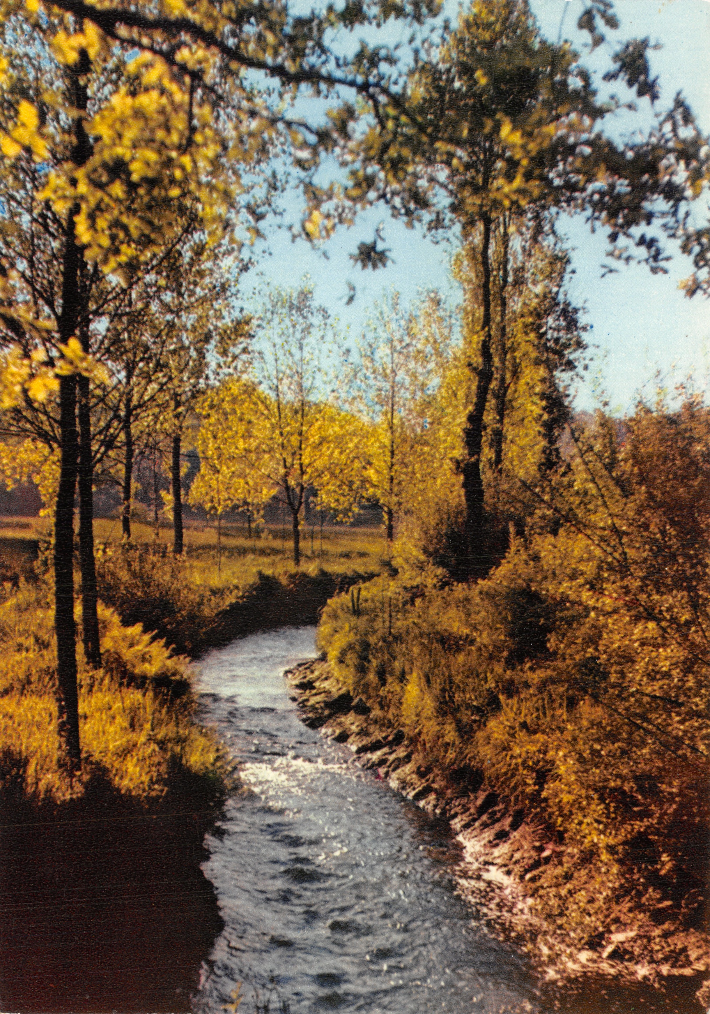 Ruisseau en automne — vue de la rivière entourée d'arbres aux feuilles jaunes — éditeur JOS