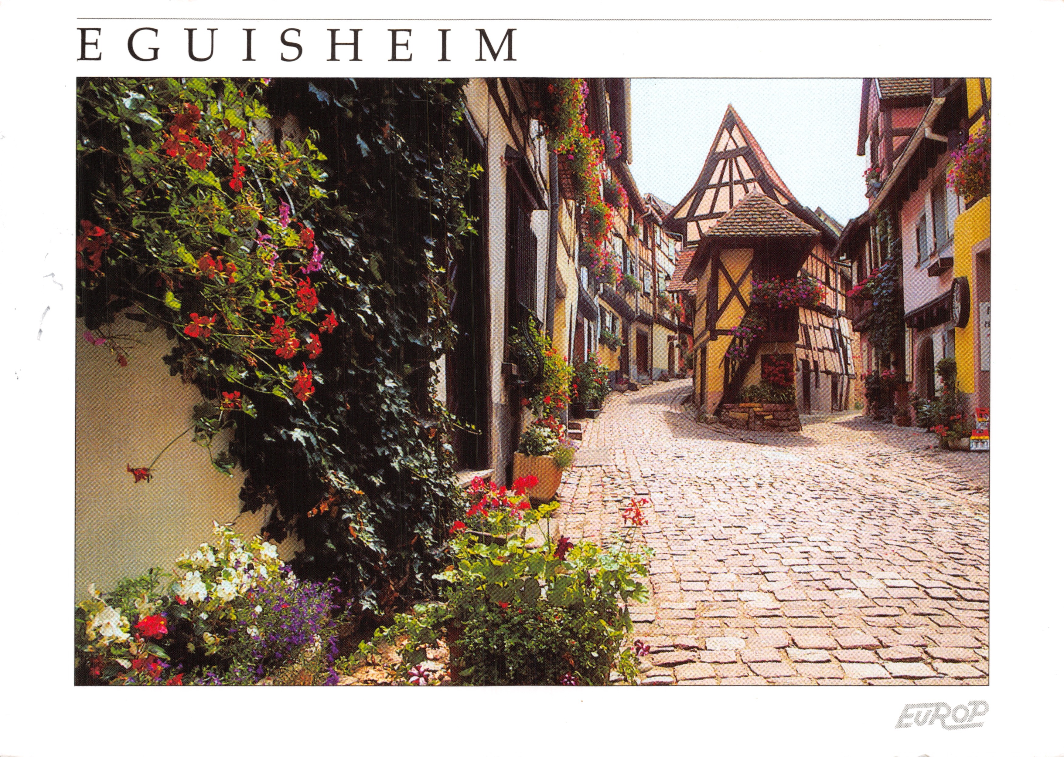 Eguisheim — strada pavimentata fiancheggiata da case a colombage e fiori — Éditions Y. Noto-Camparella