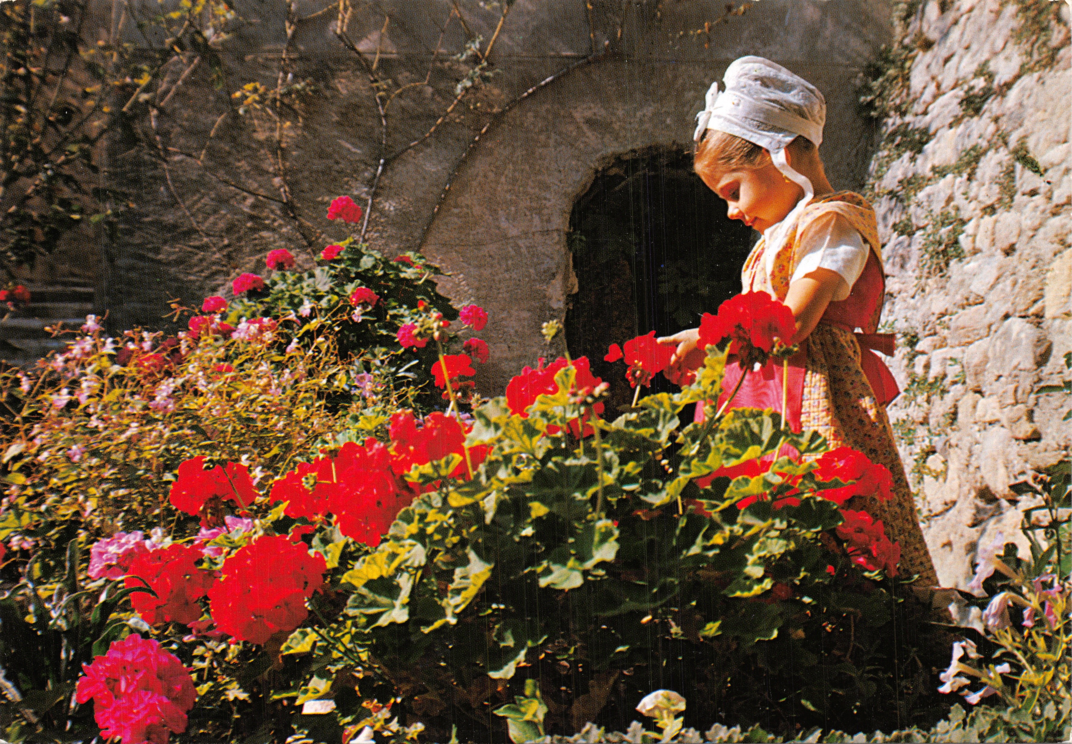 Jeune Provençale — jeune fille en robe traditionnelle cueillant des géraniums devant un mur de pierre — Éditions G.A.L. n°4098