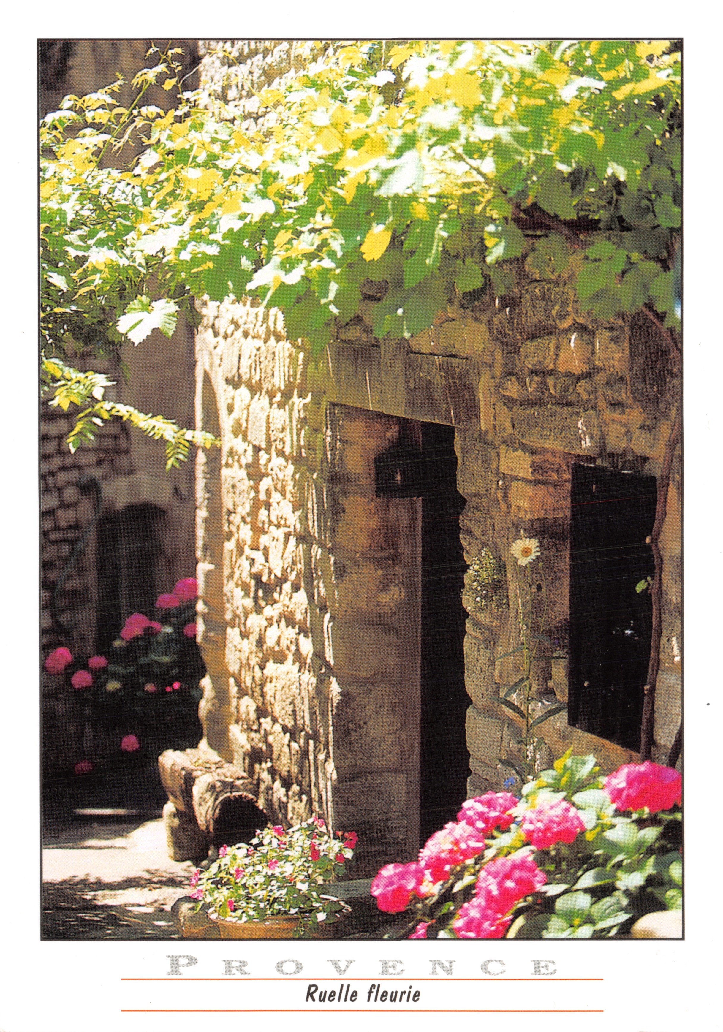 Ruelle fleurie — rue pavée bordée de roses et de vigne — éditeur Sté PEC, n° 6137