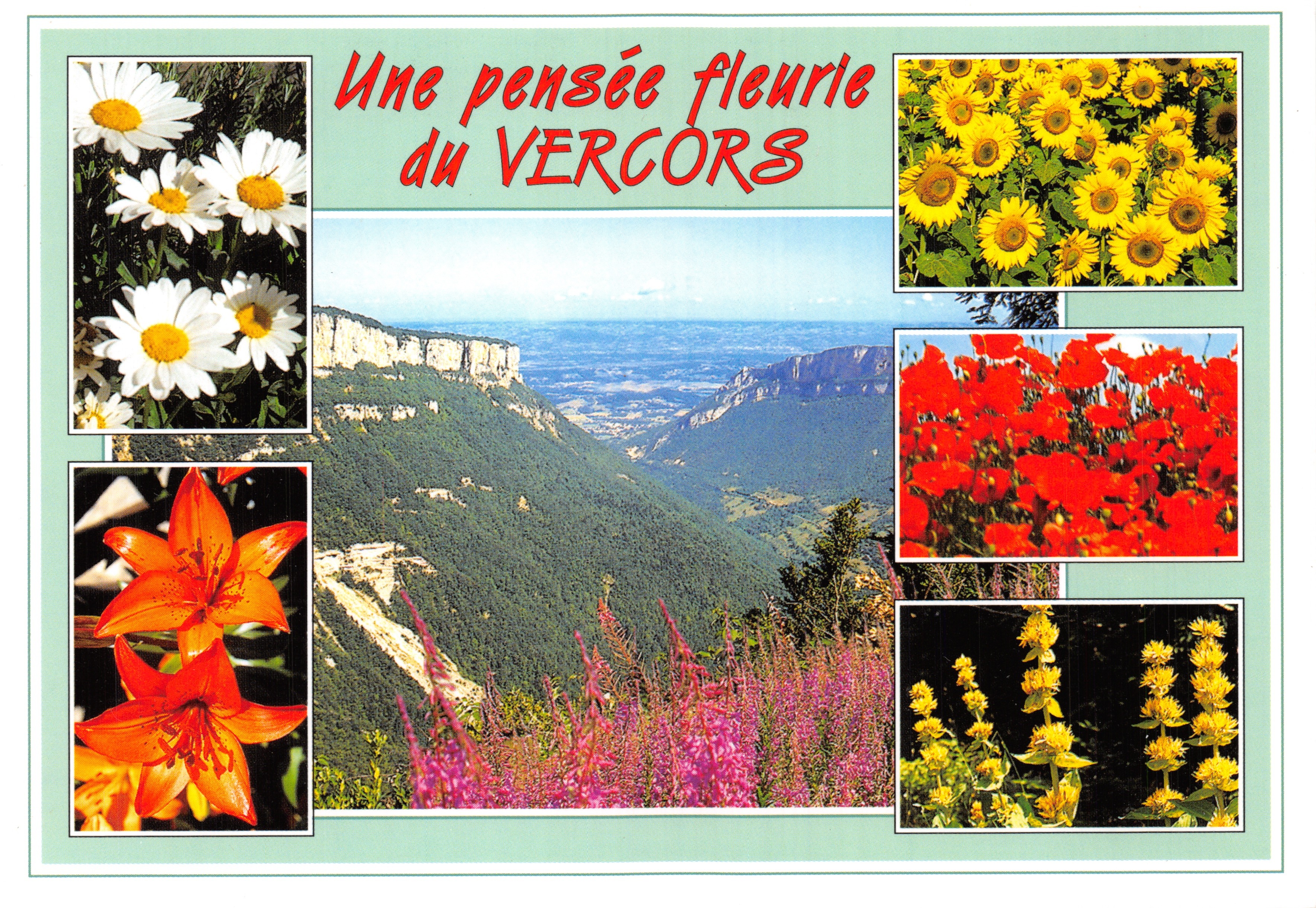 Vercors fleuri — vue panoramique avec fleurs de marguerites, tournesols, coquelicots, lys et fleurs jaunes — Éditions CELLARD