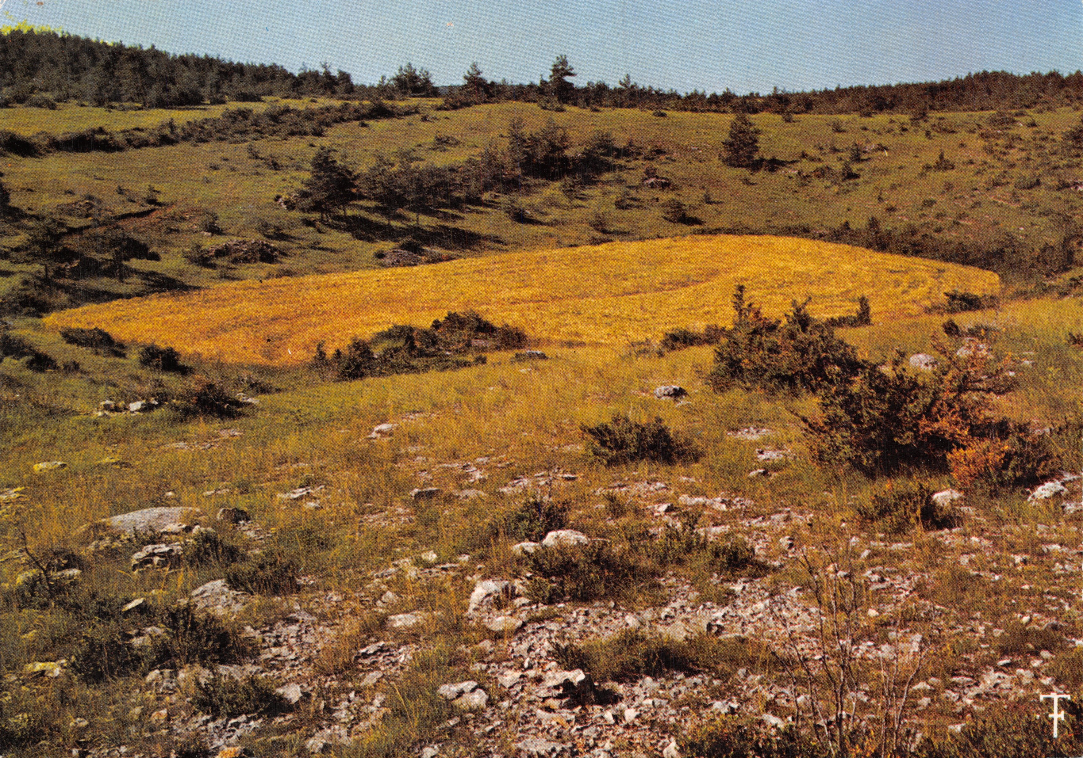 Causse Noir — limestone depression with alluvium — Éditions des Septfonts