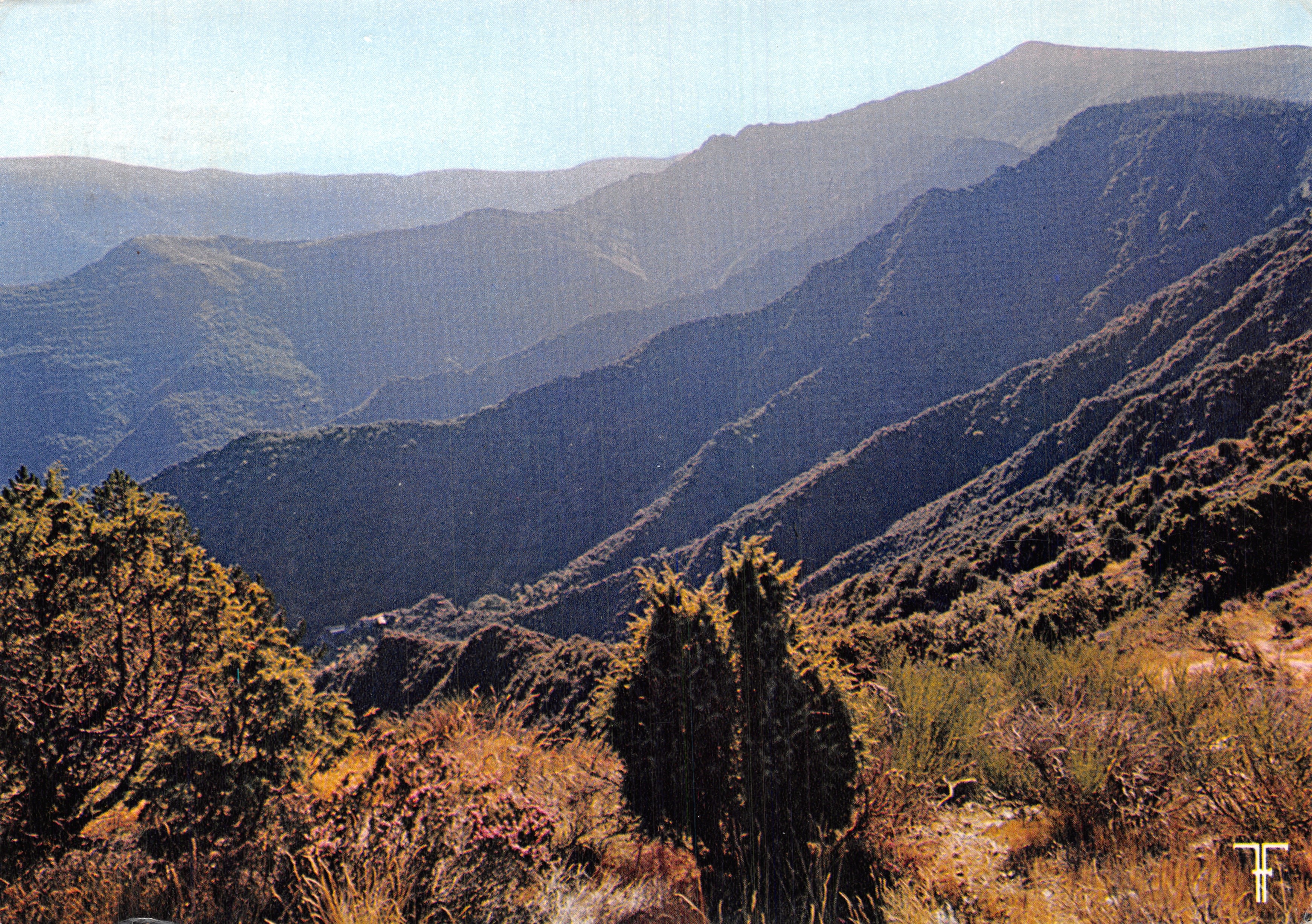Massif de l'Aigoual — vue du G.R.6 près d'Aire de Côte — Éditions des Cévennes