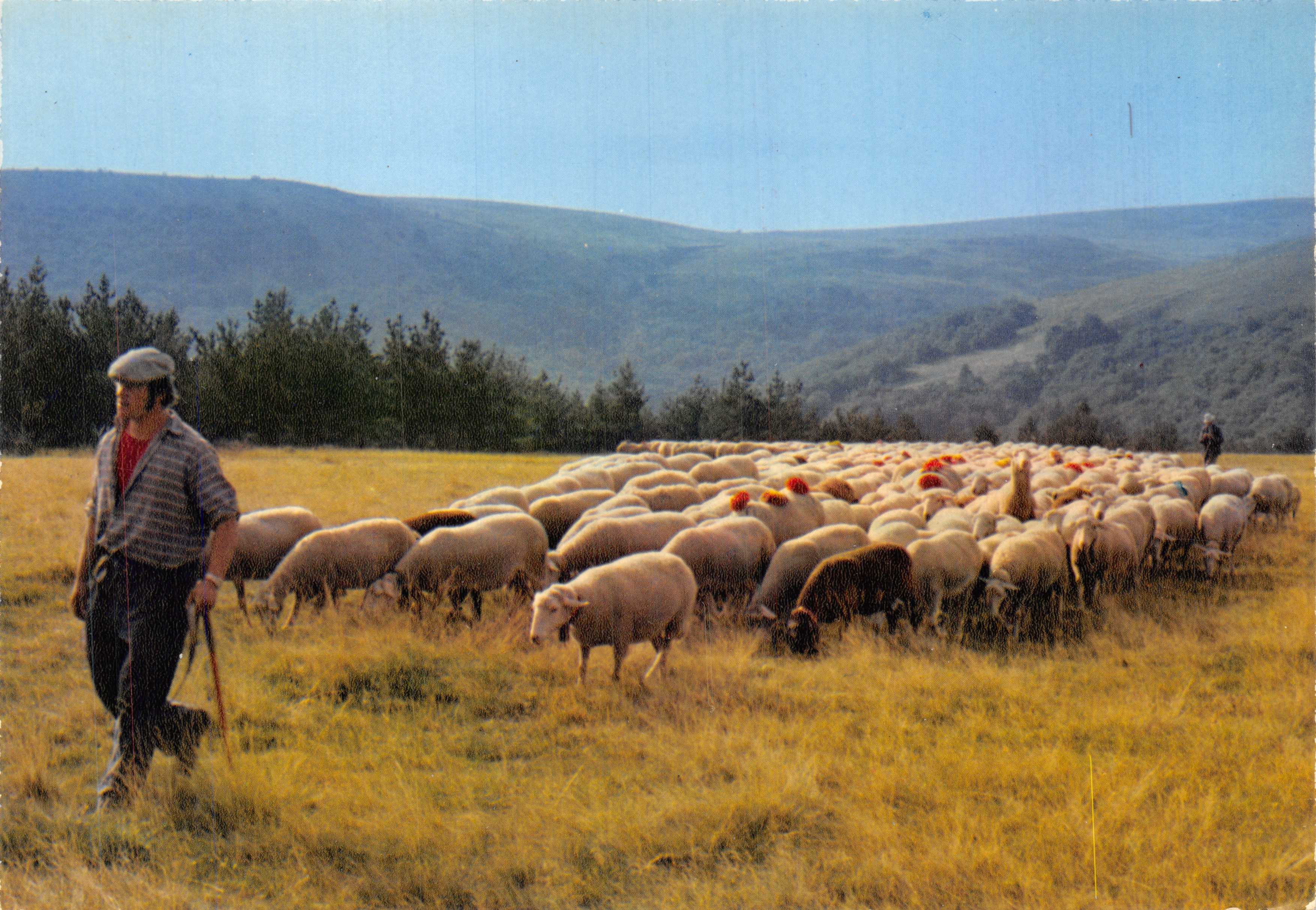 Transhumancia en Lozère — Mont Lozère — editor Combier Imprimeur Mâcon