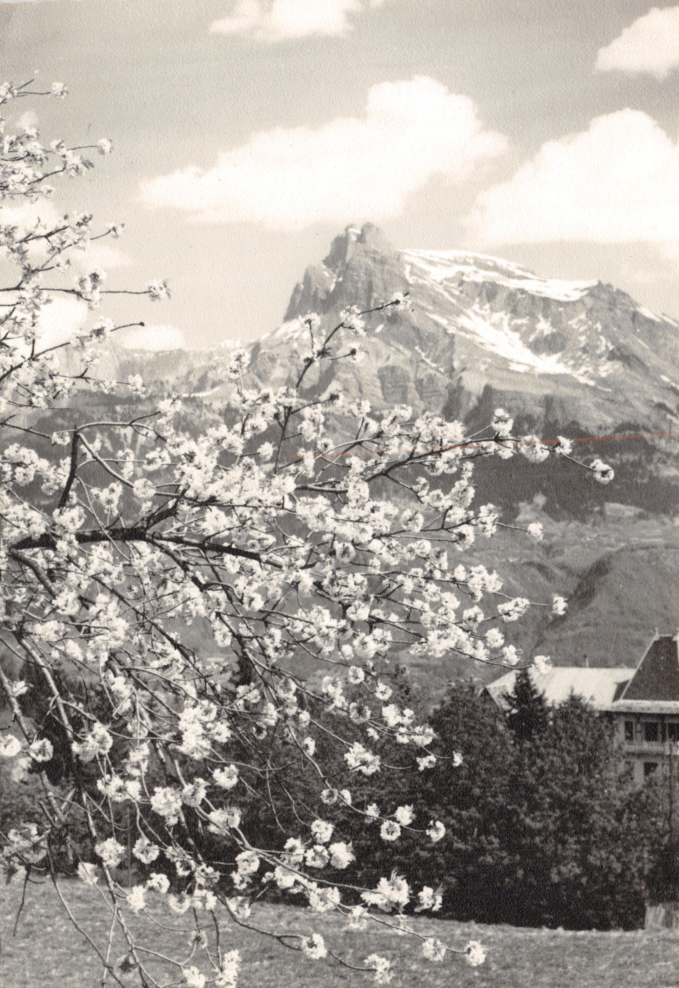 Combloux (Haute-Savoie) — Les Aiguilles de Waren (Aiguille interdite) — Édition S.P.A.