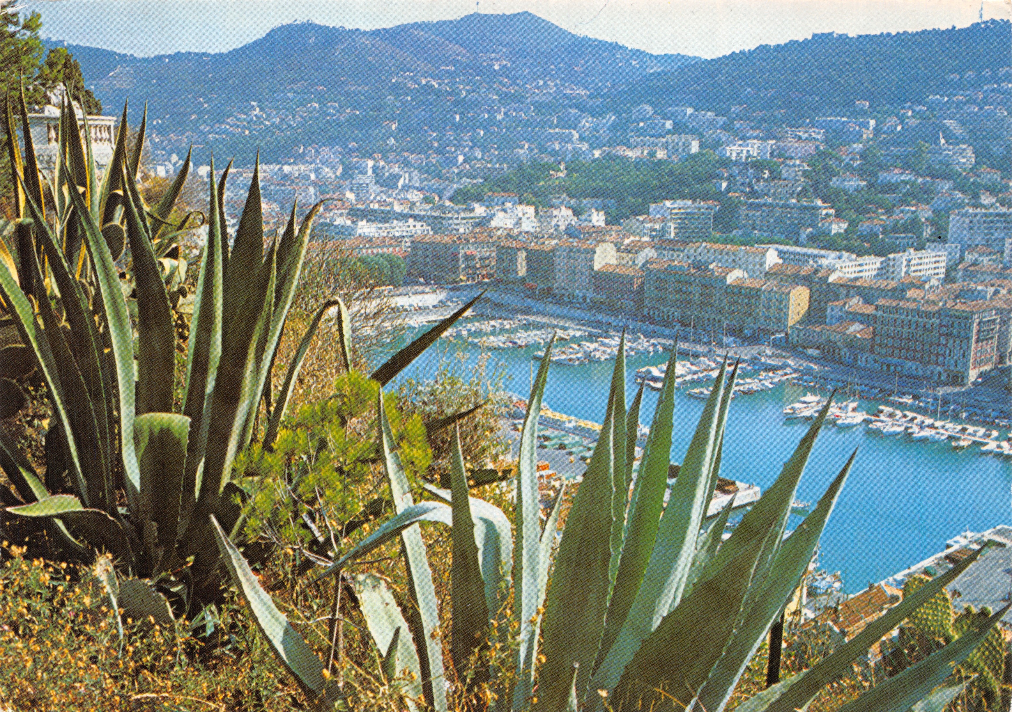 Vue générale sur le port de plaisance — Nice (Alpes-Maritimes) — PRESSE DIFFUSION SAM