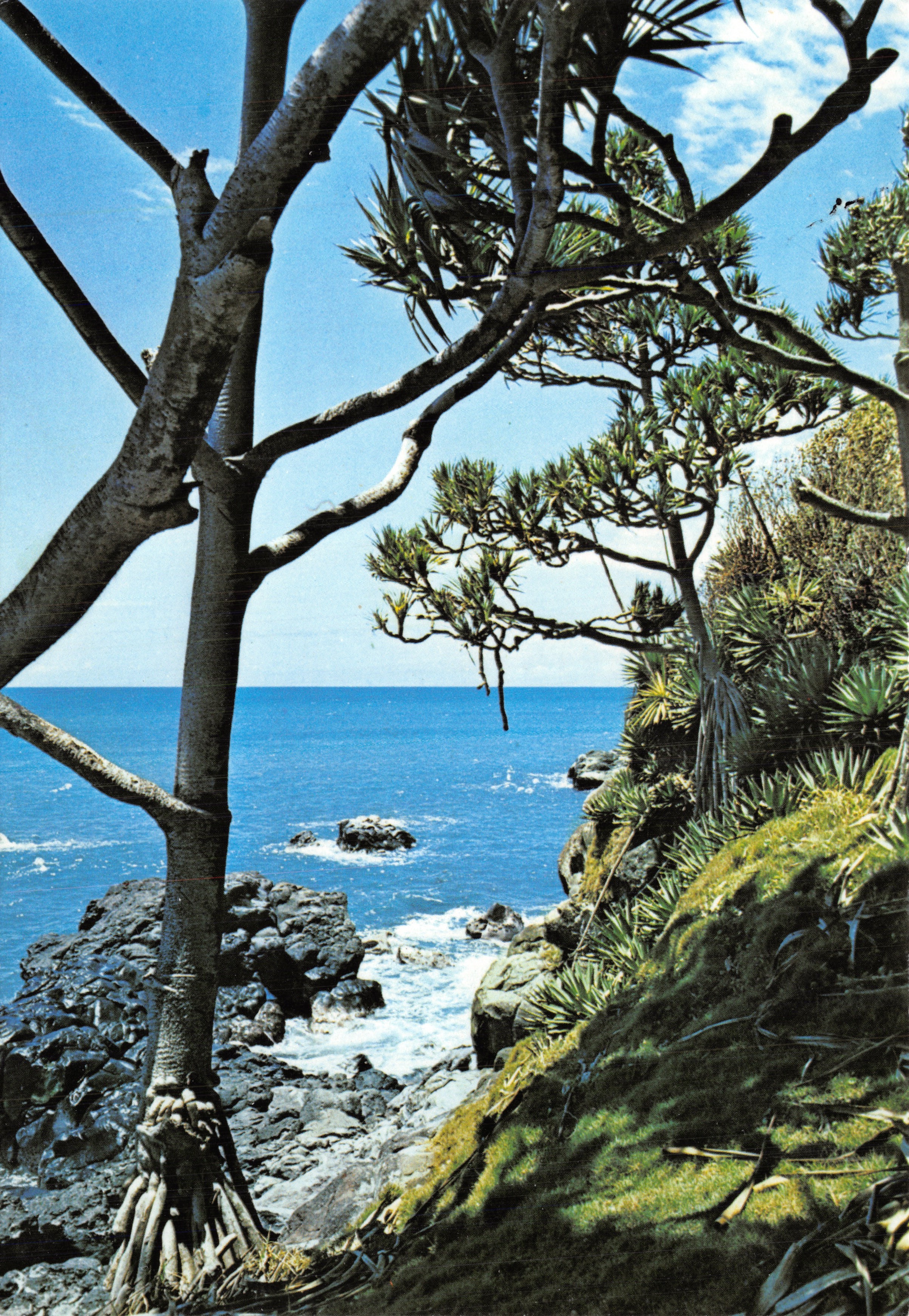Salazie — Wild Coast in the east of the island — SOGERPRO (Christian Bertin) n° 576