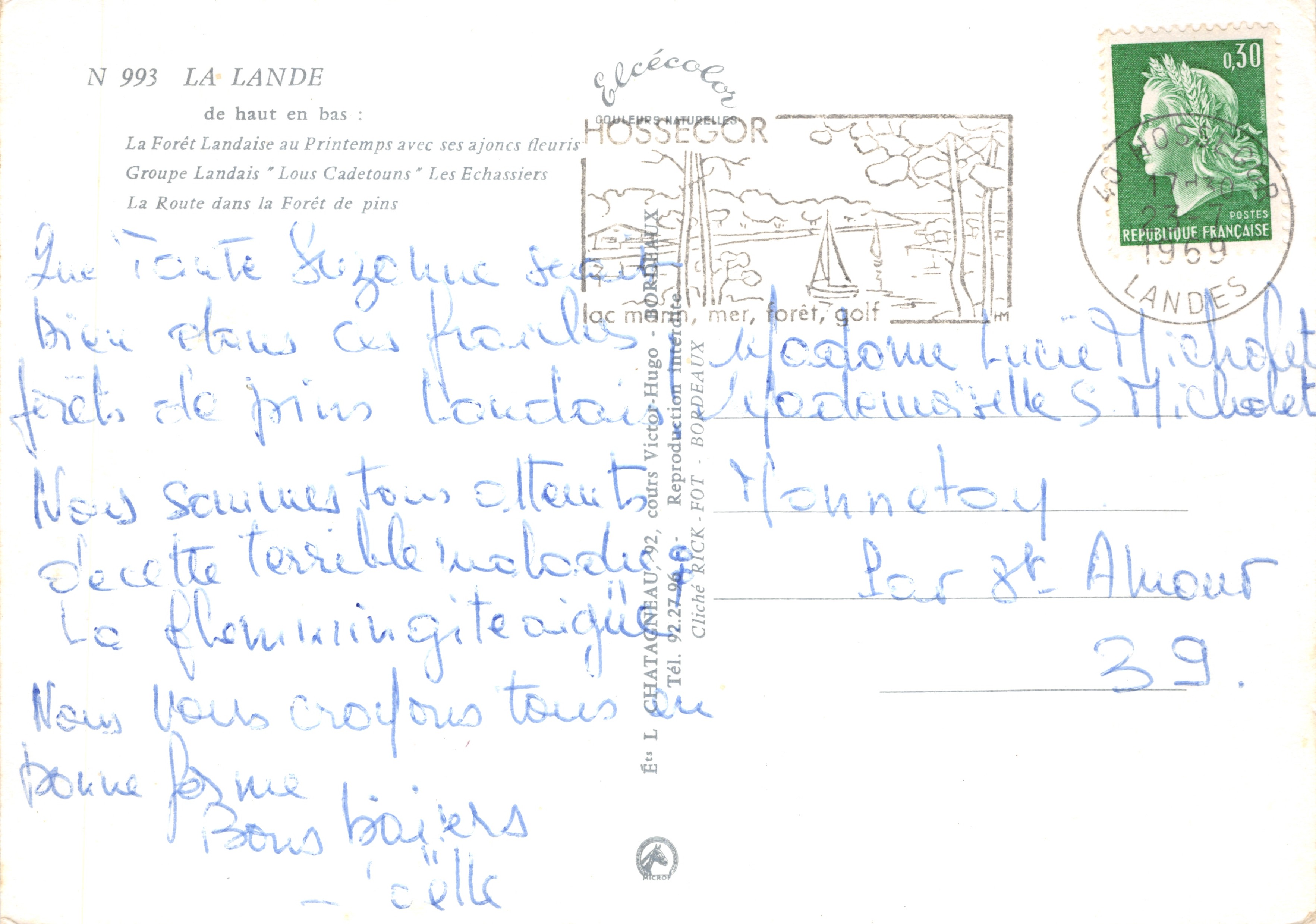 La Lande — Bosque de primavera con brezo en flor, grupo de « Lous Cadetouns » sobre estacas, camino en el bosque de pino — Editor Élécoen — Reverso