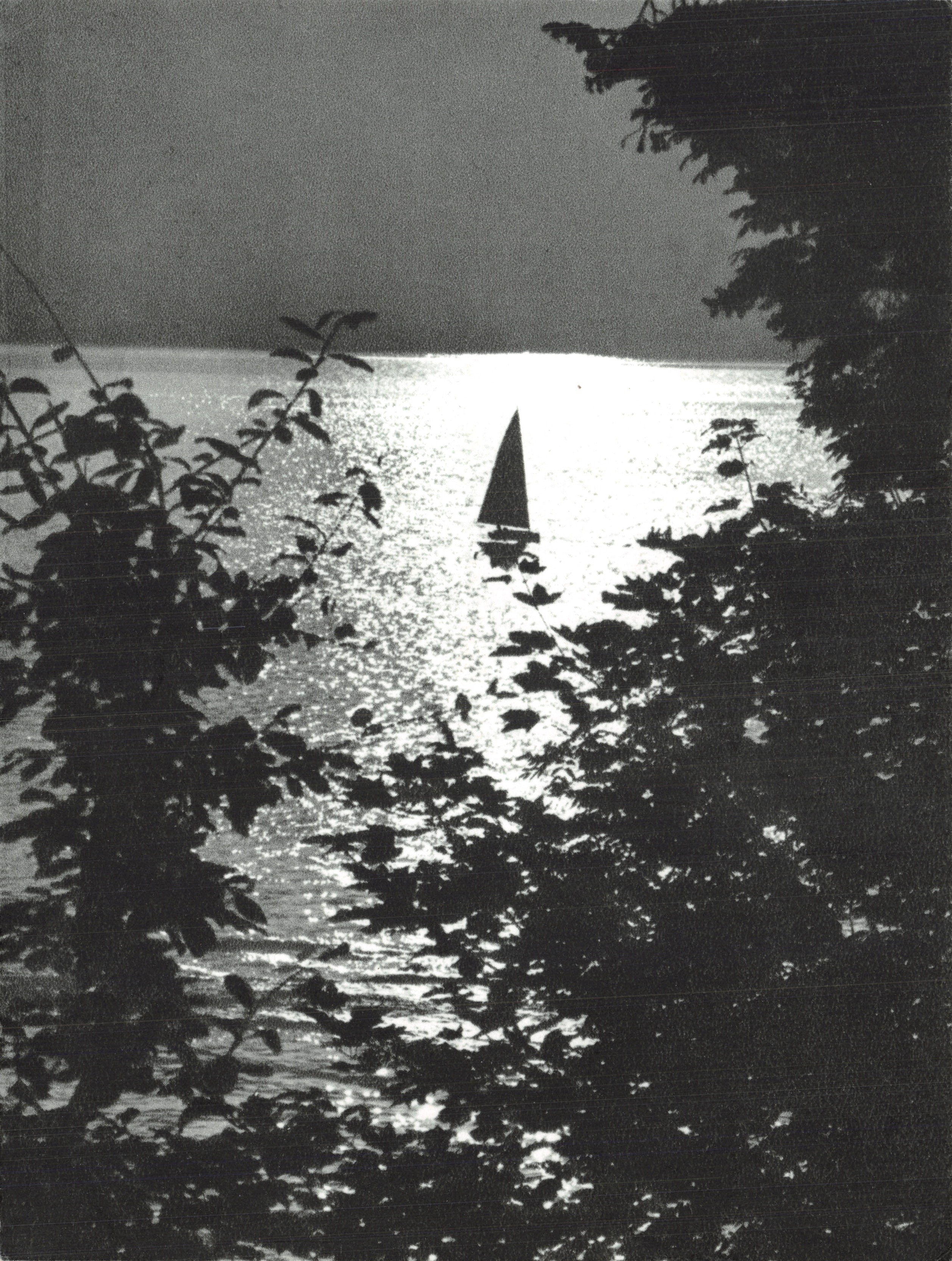 Voile sur lac — vue encadrée par des feuillages — Imp. Braun (France) — N° 239