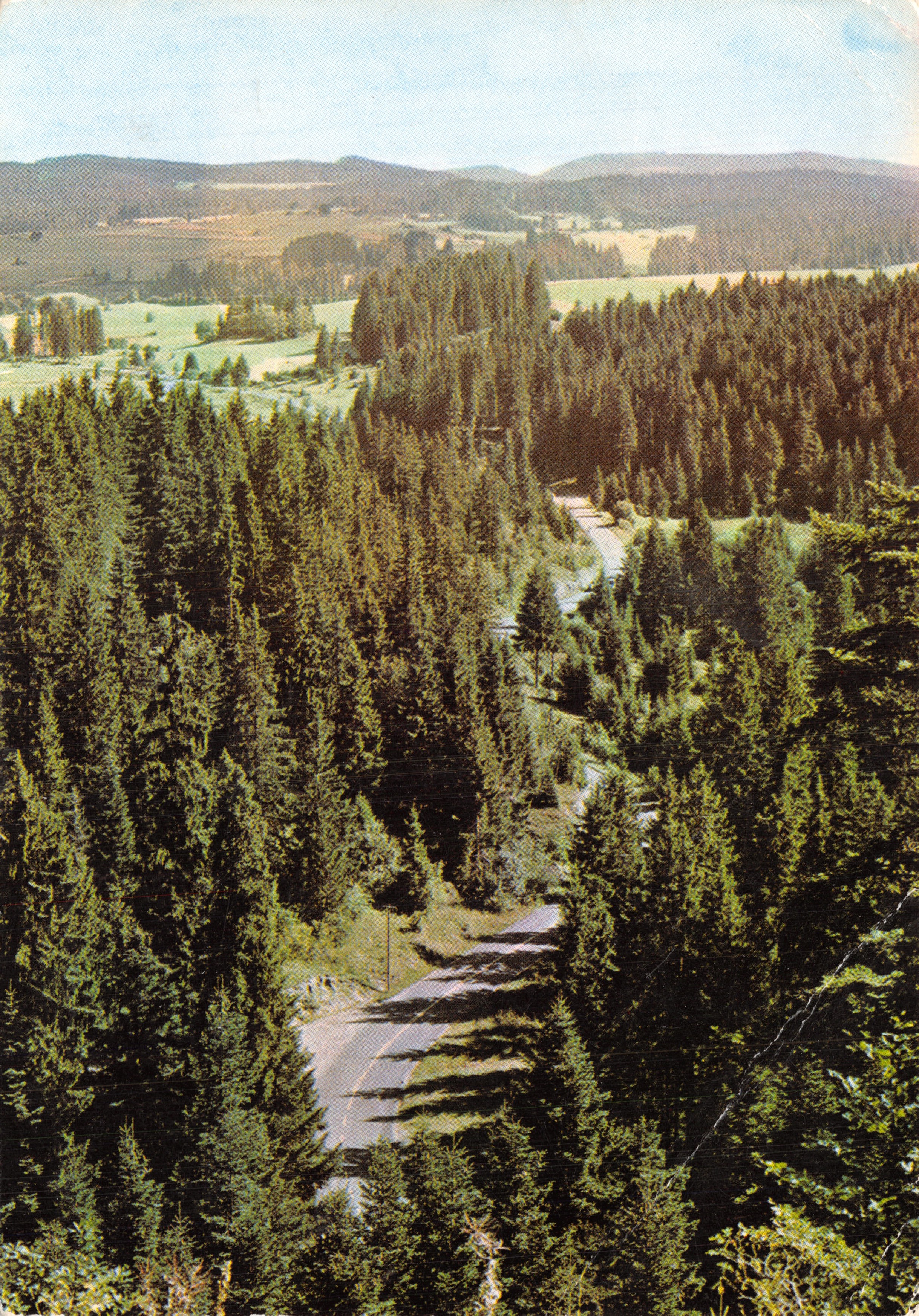 Landschappen van het Haut-Doubs — uitzicht op de kronkelende weg door het bos — Photo STAINACRE / 72/1566